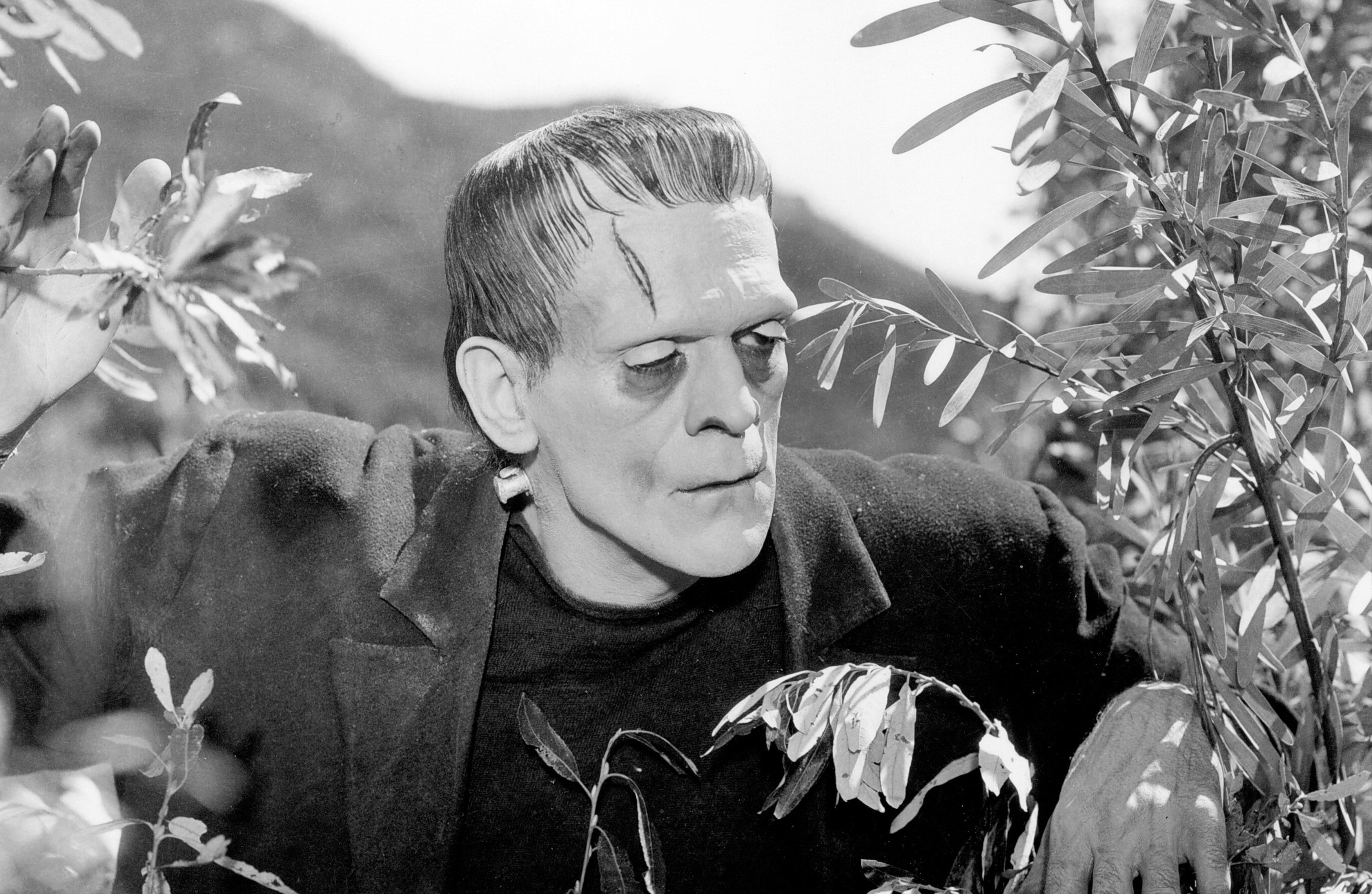 Frankenstein (1931) Wallpapers