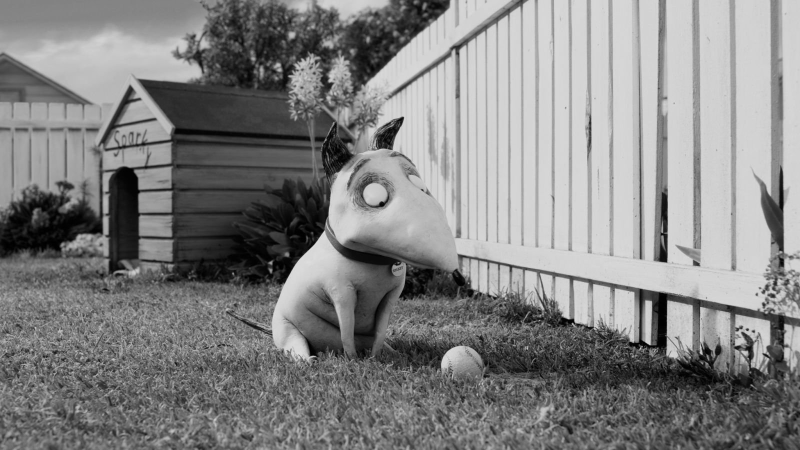 Frankenweenie Wallpapers