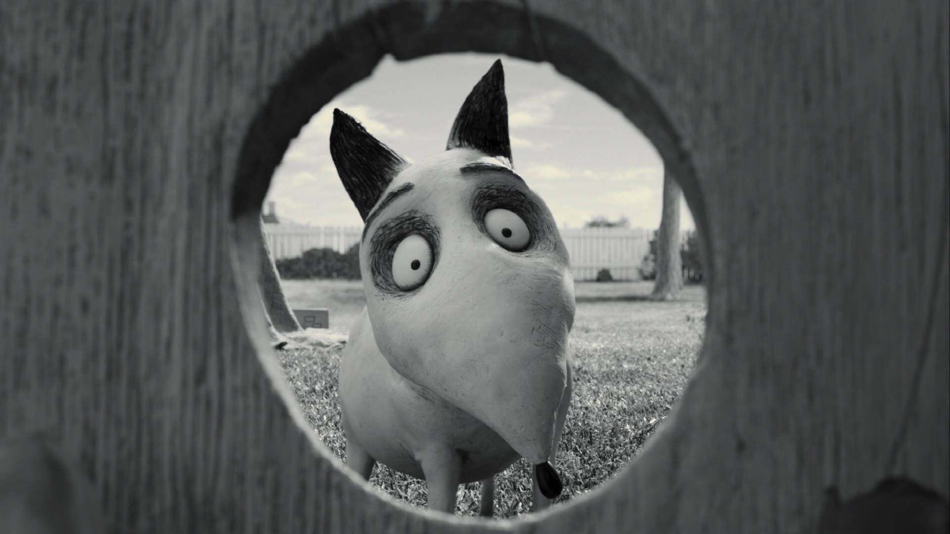 Frankenweenie Wallpapers