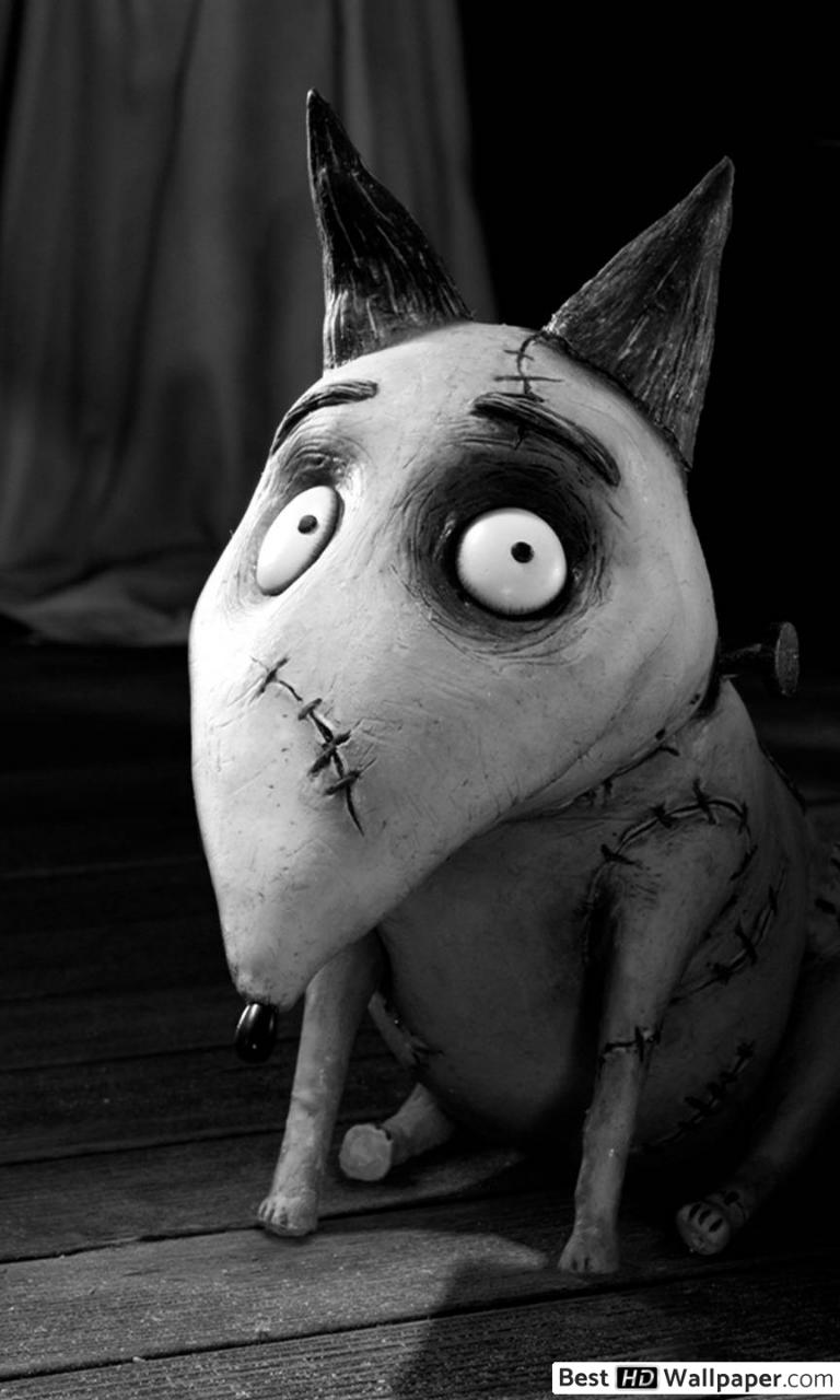 Frankenweenie Wallpapers