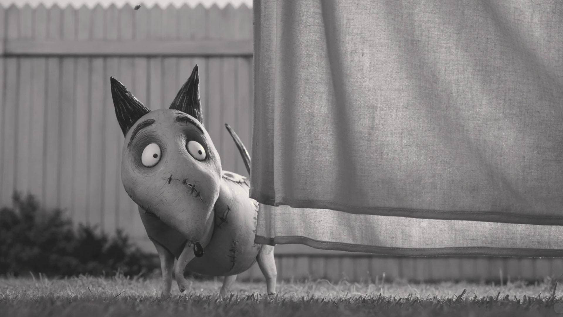 Frankenweenie Wallpapers