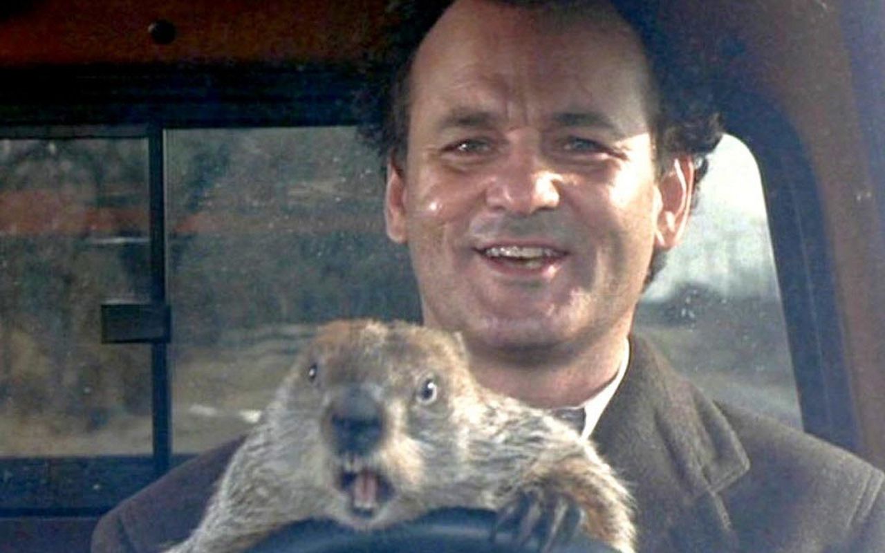 Groundhog Day Movie Wallpapers