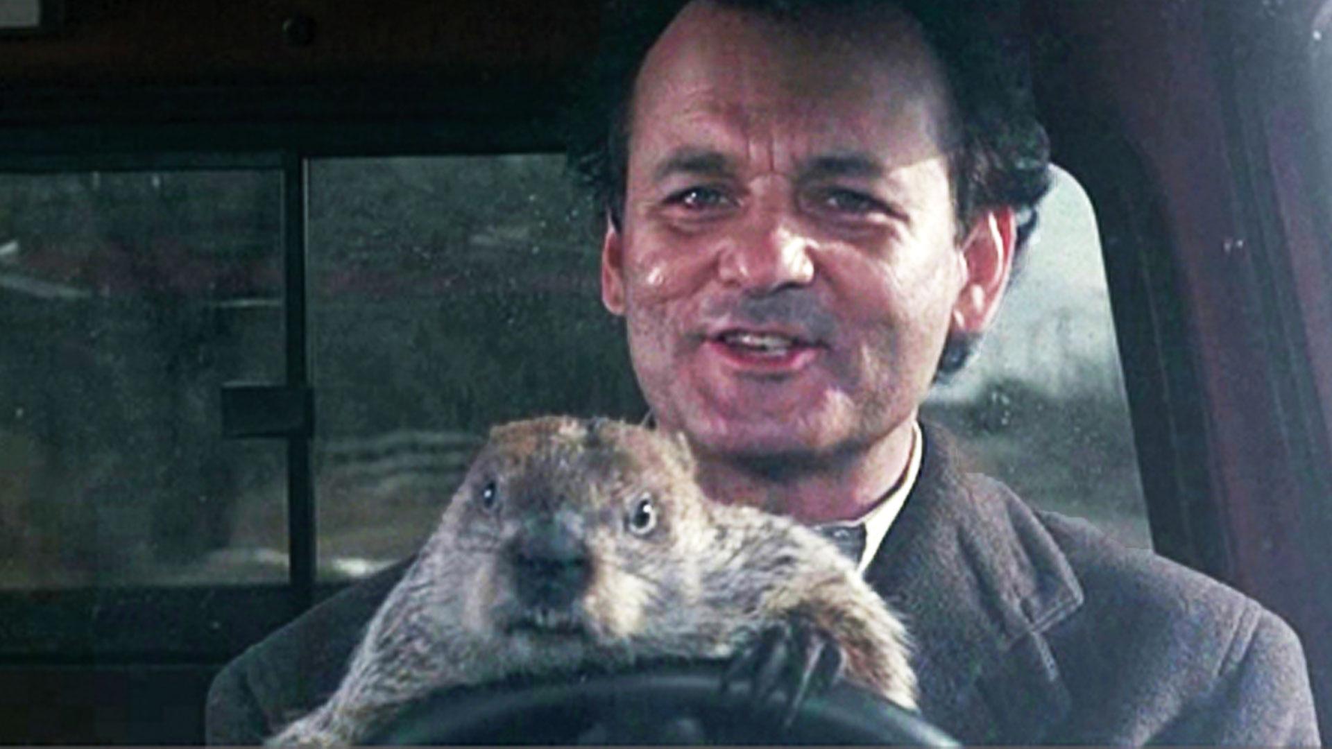Groundhog Day Movie Wallpapers