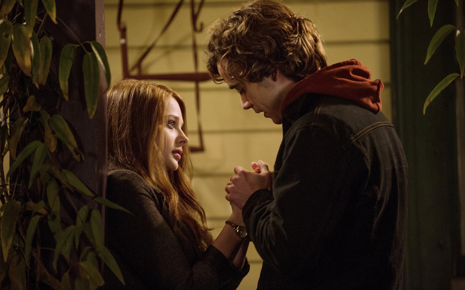 If I Stay Wallpapers