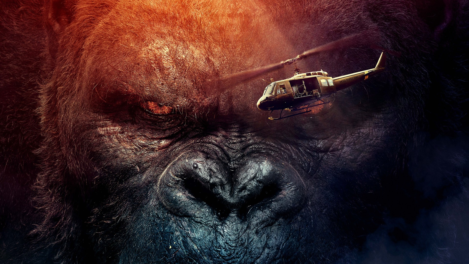 Innocent King Kong Wallpapers