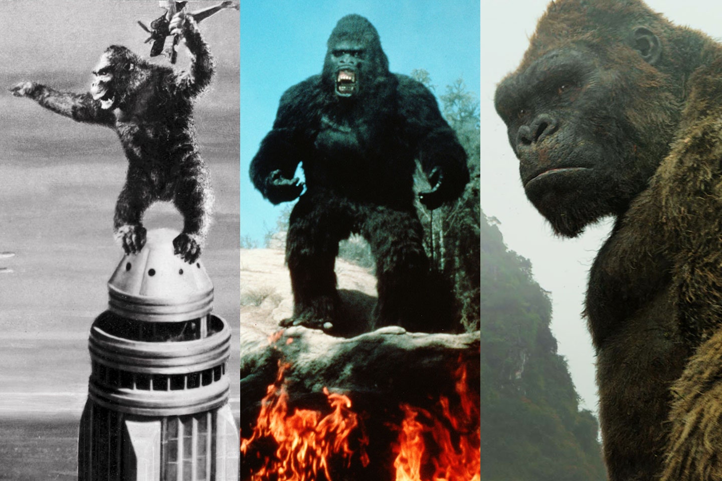 Innocent King Kong Wallpapers