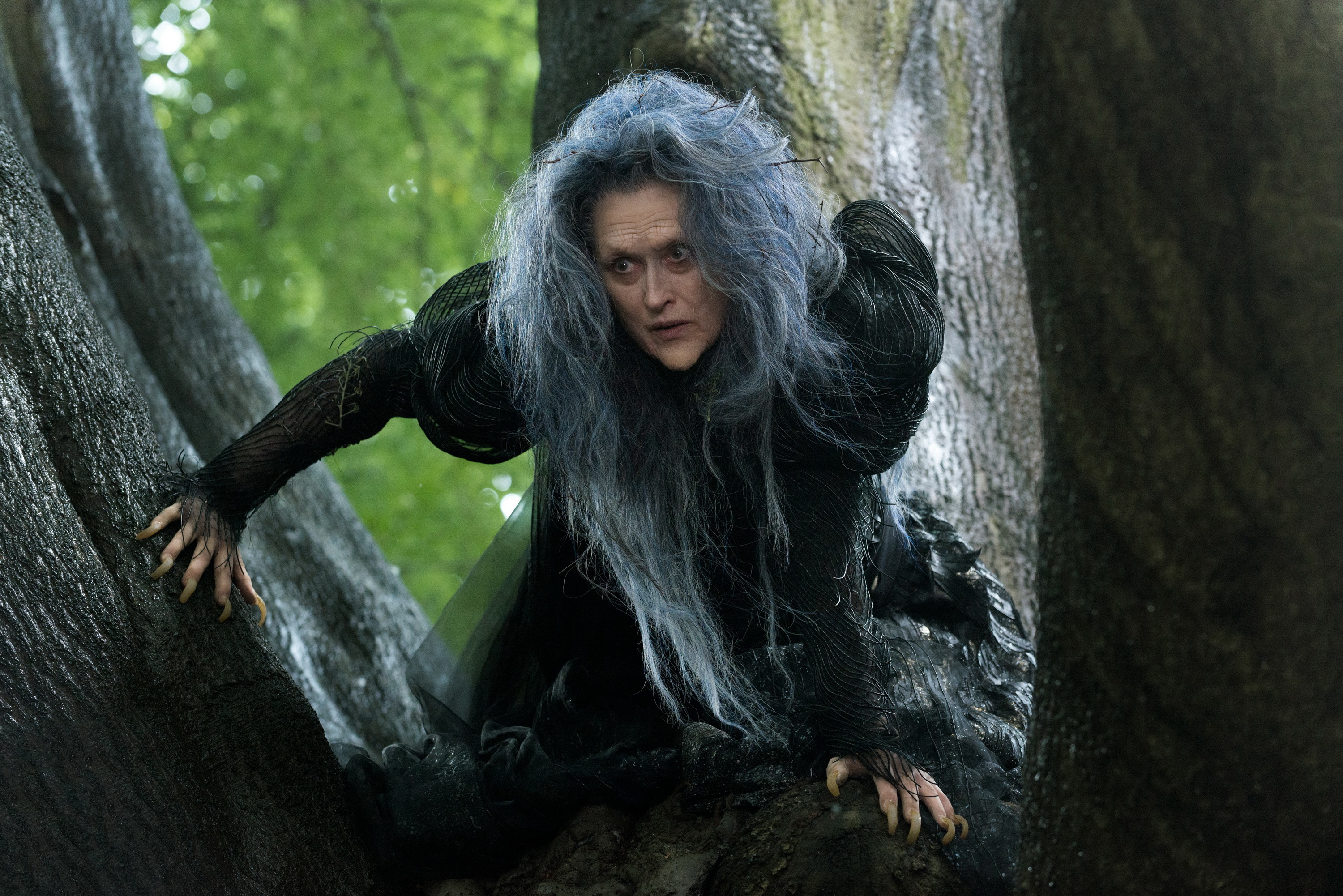 Into The Woods (2014) Wallpapers