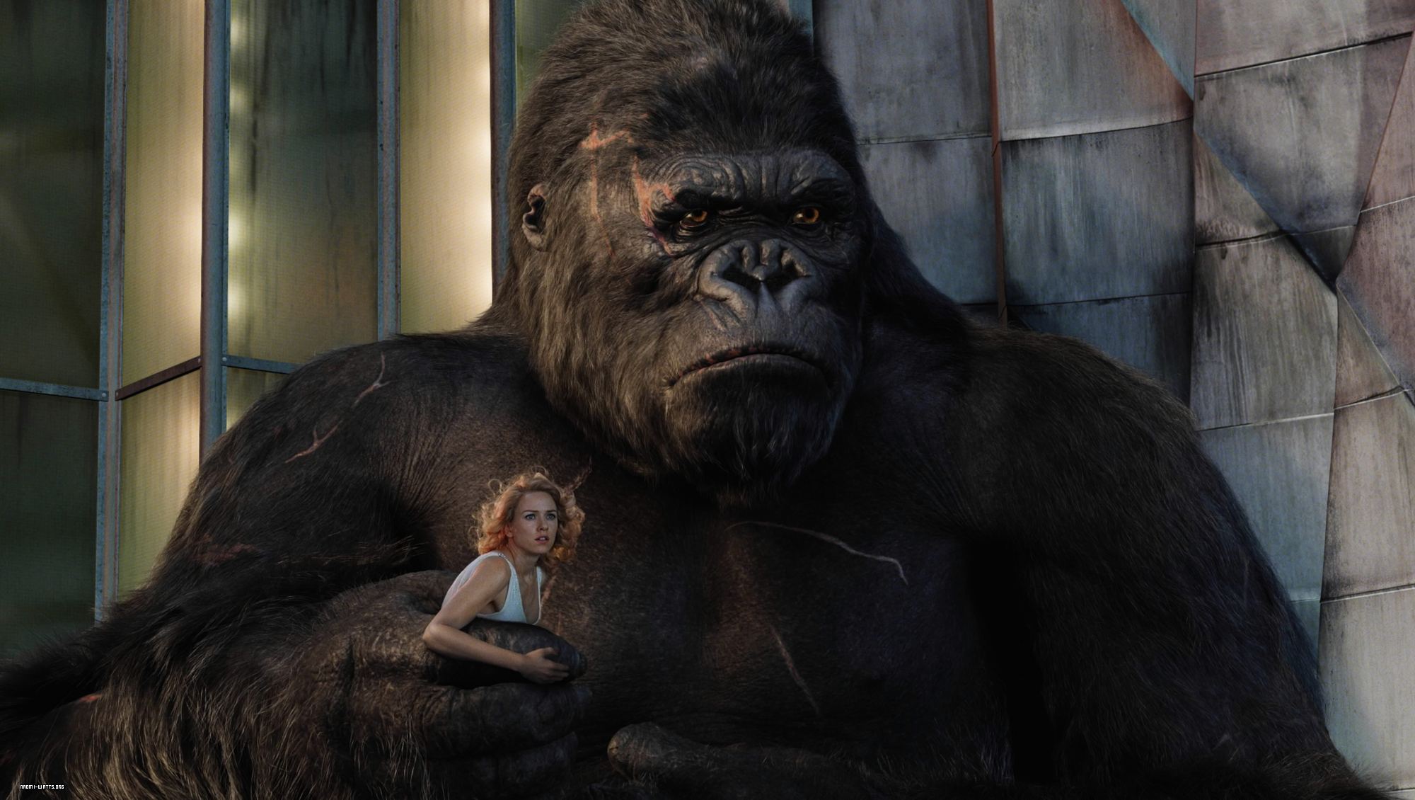 King Kong (2005) Wallpapers