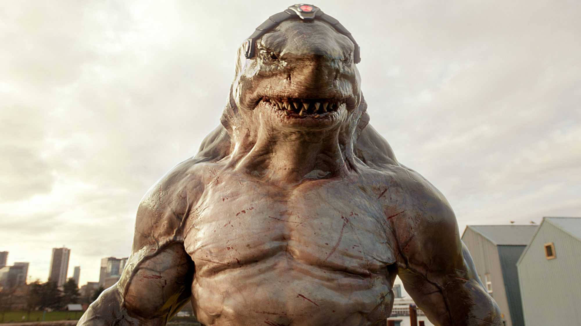 King Shark  Dc The Suicide Squad Wallpapers