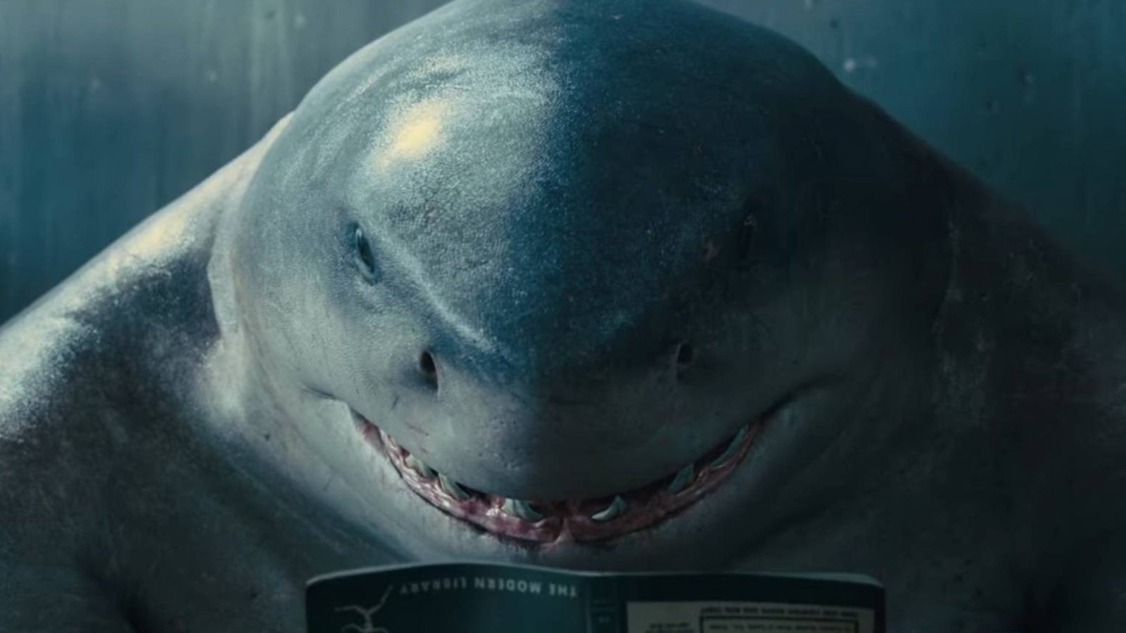 King Shark  Dc The Suicide Squad Wallpapers