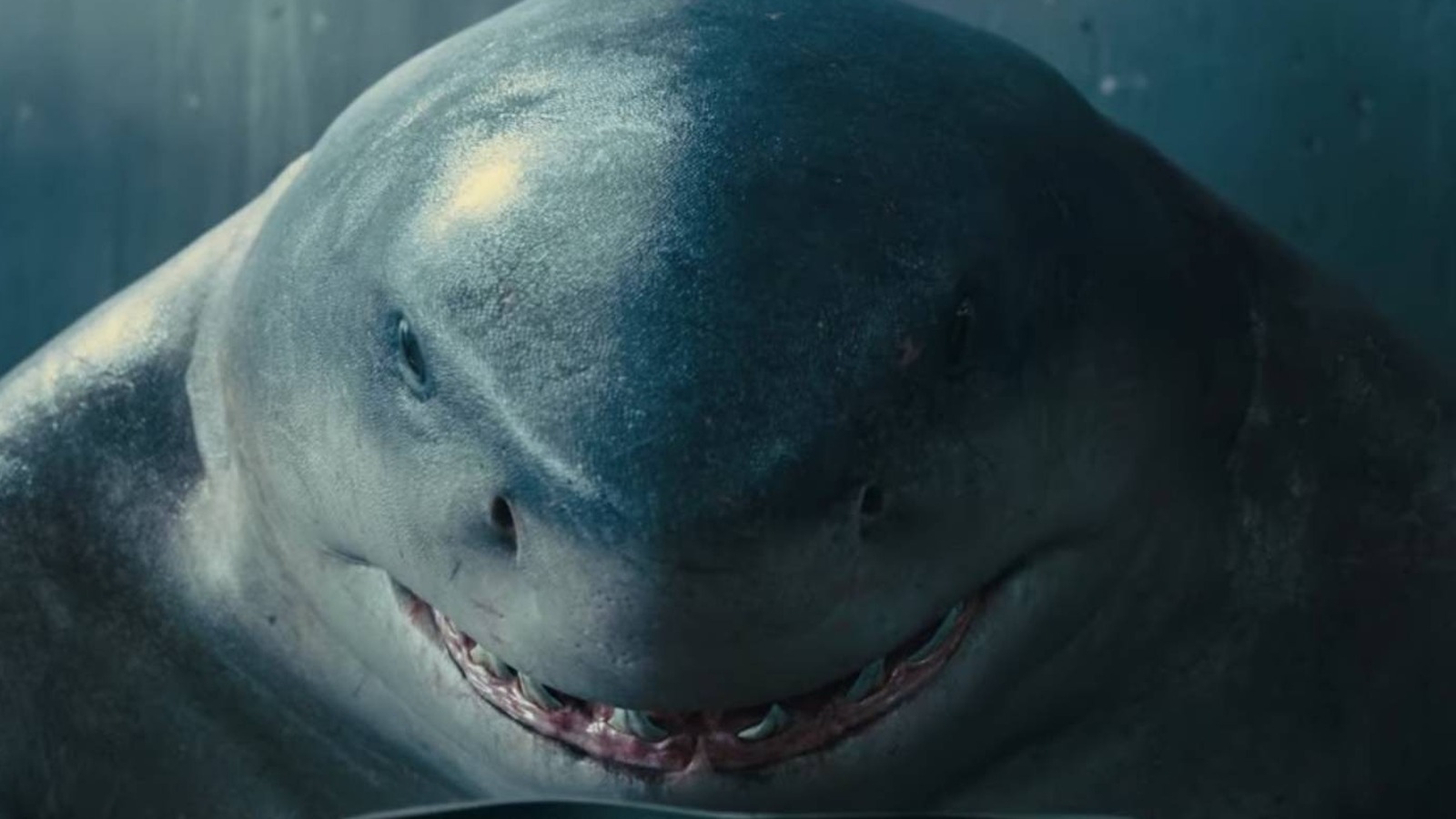 King Shark The Suicide Squad Wallpapers