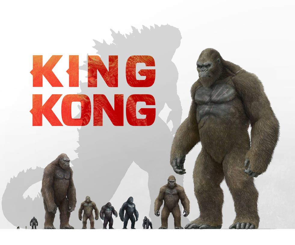 Kong'S Home Wallpapers