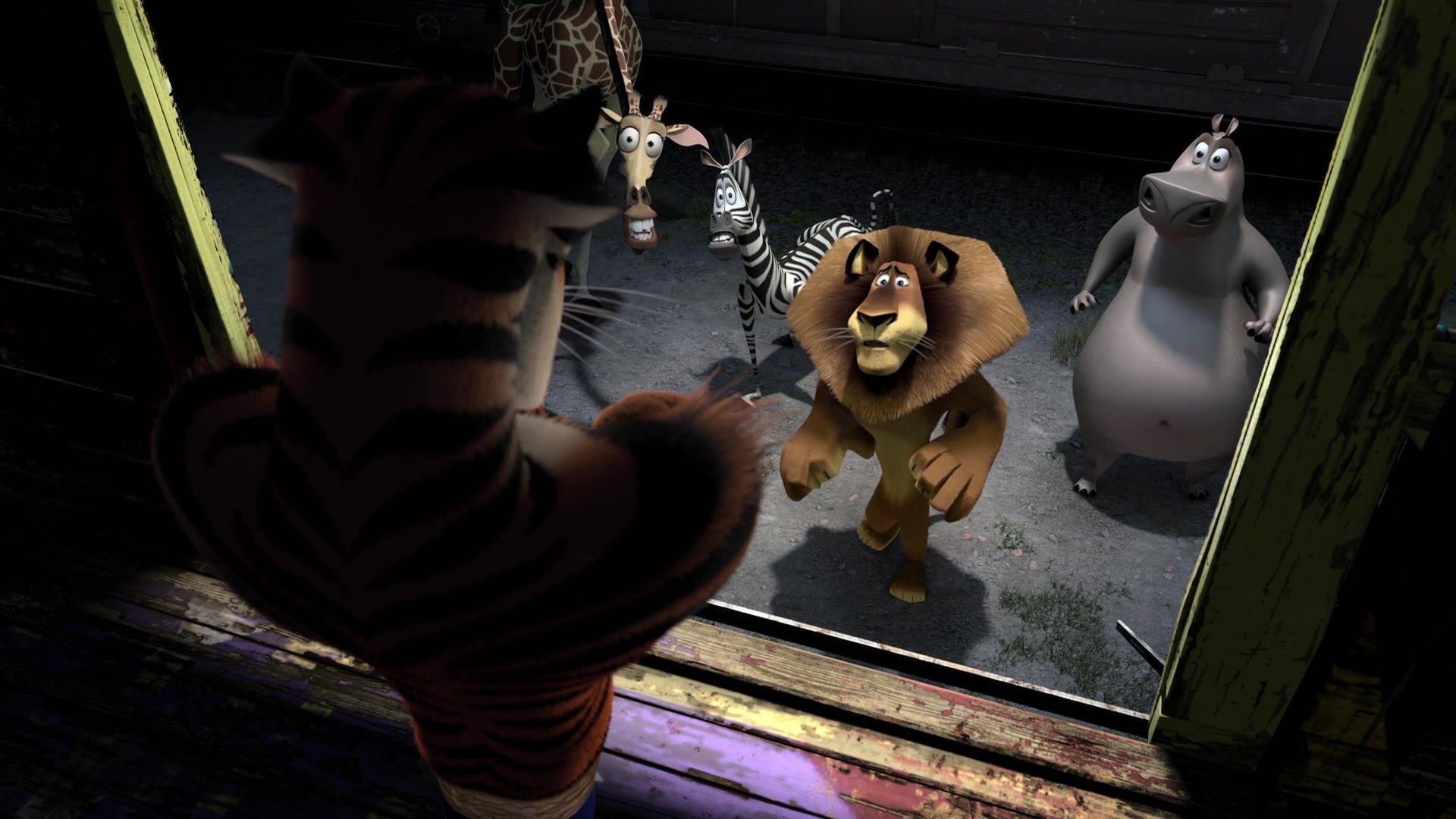 Madagascar 3: Europe'S Most Wanted Wallpapers