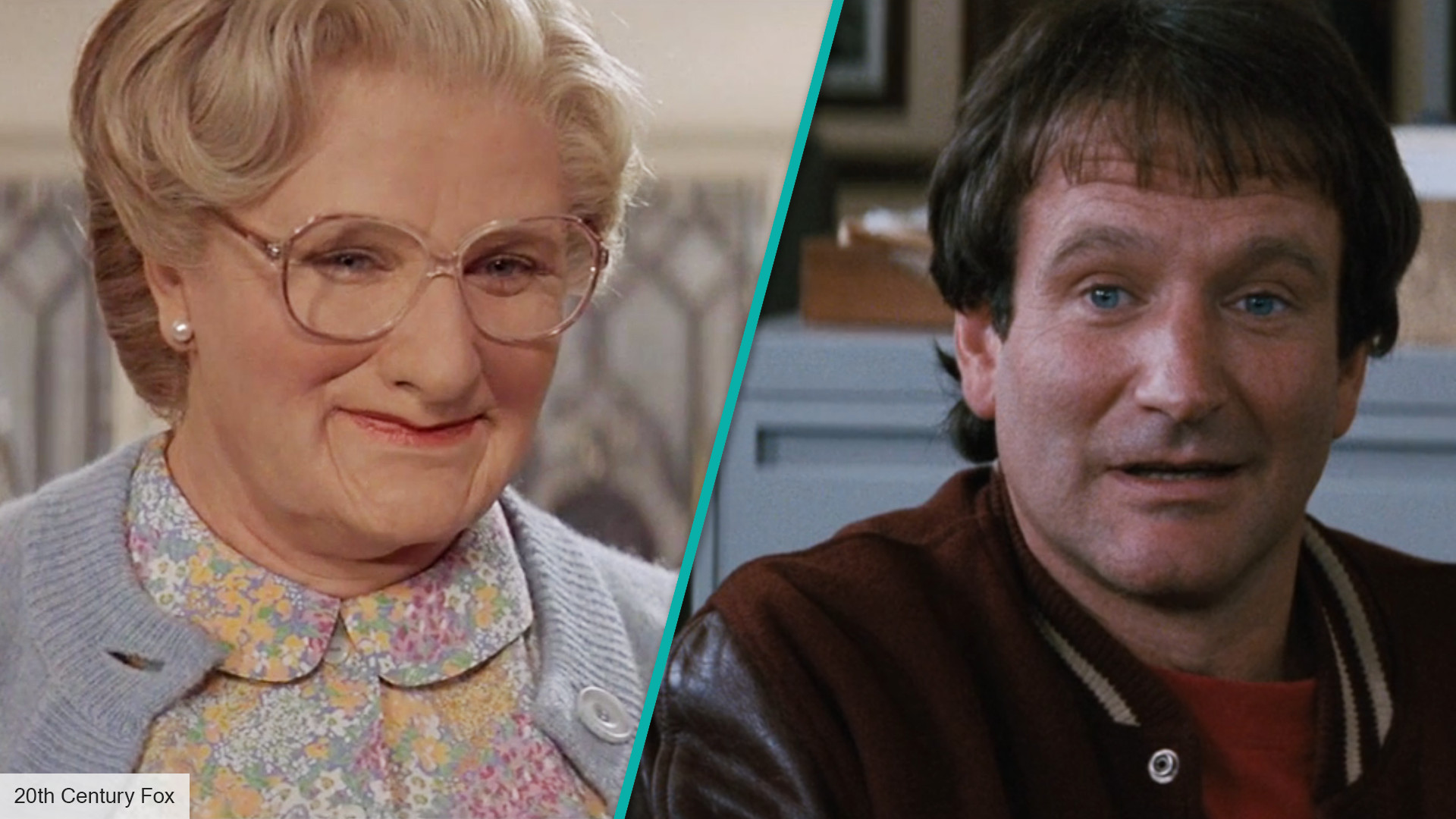 Mrs. Doubtfire Wallpapers