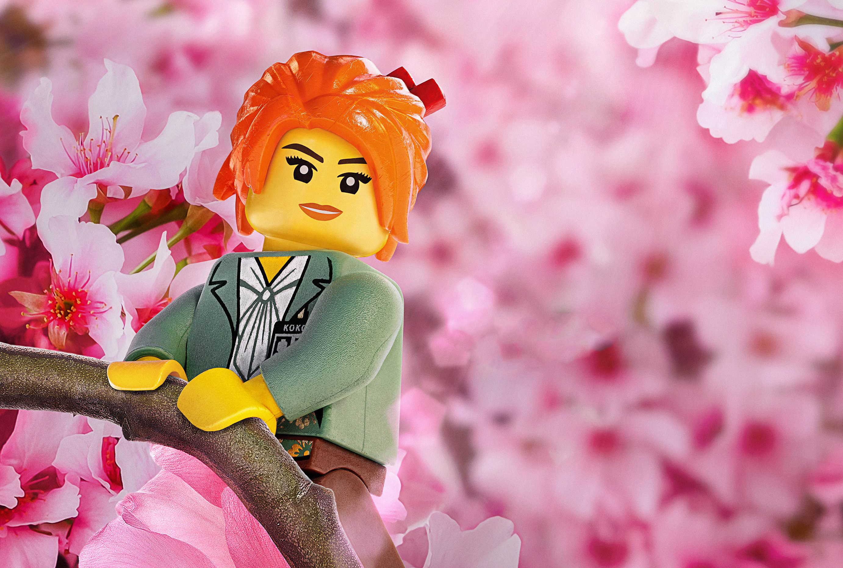 Nya From Kai - The Lego Ninjago Movie Wallpapers