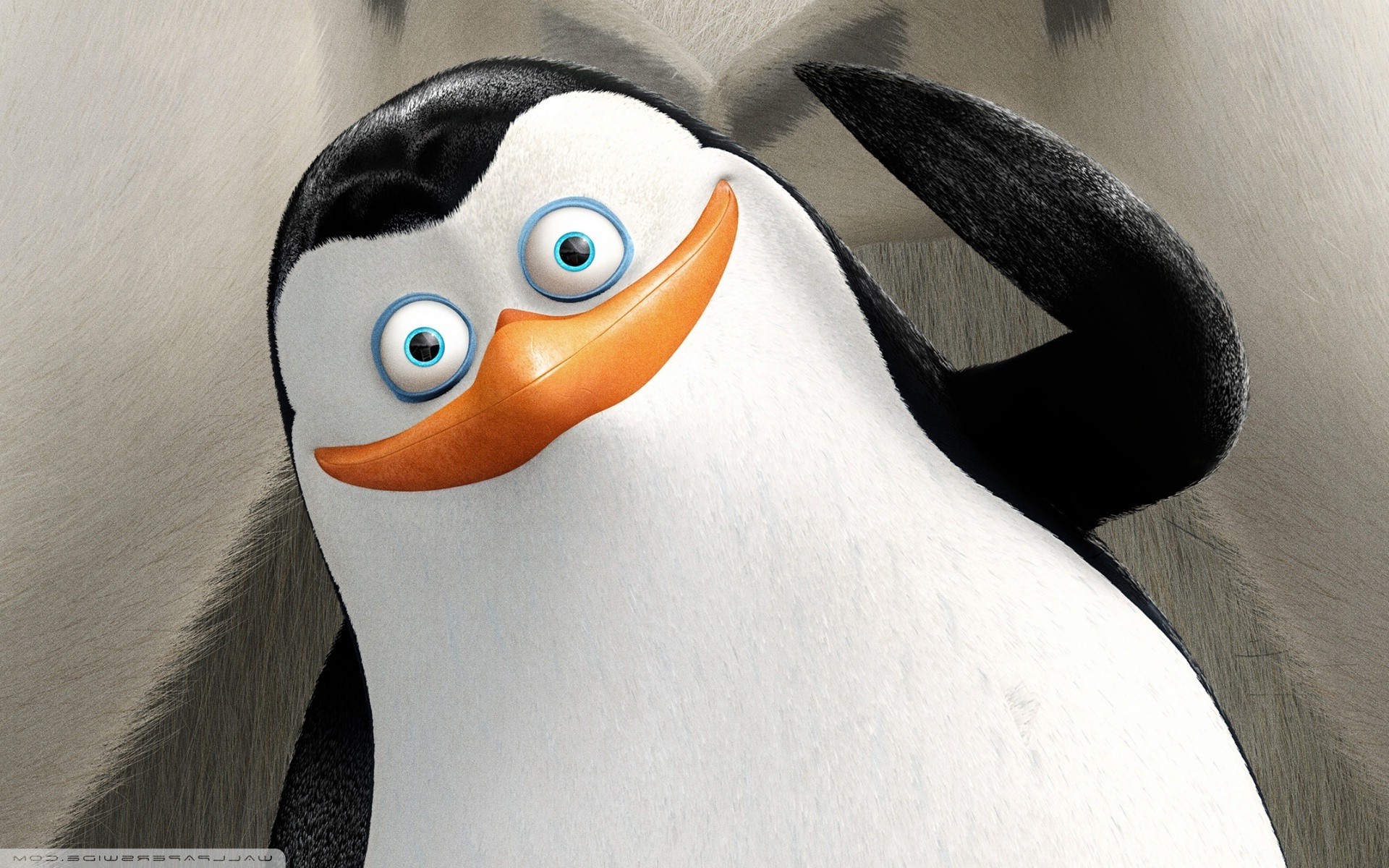 Penguins Of Madagascar Wallpapers