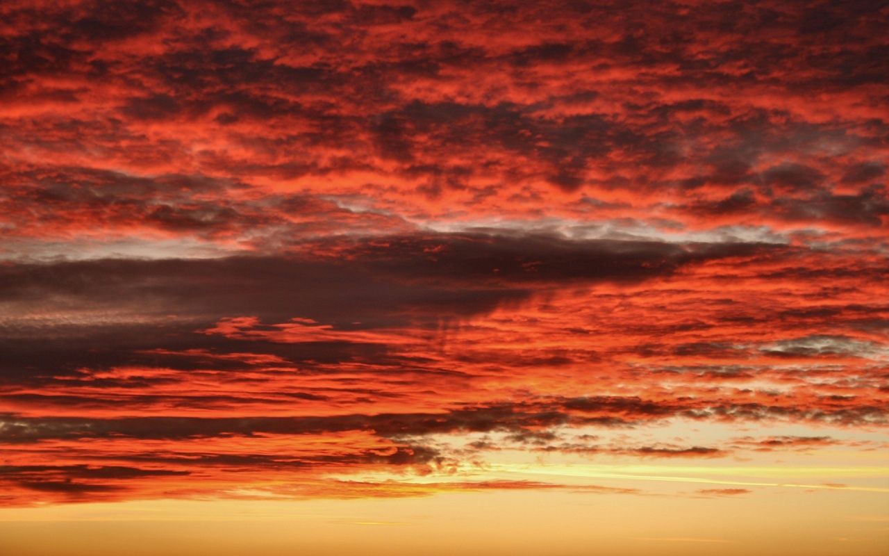 Peri Baumeister Blood Red Sky Wallpapers