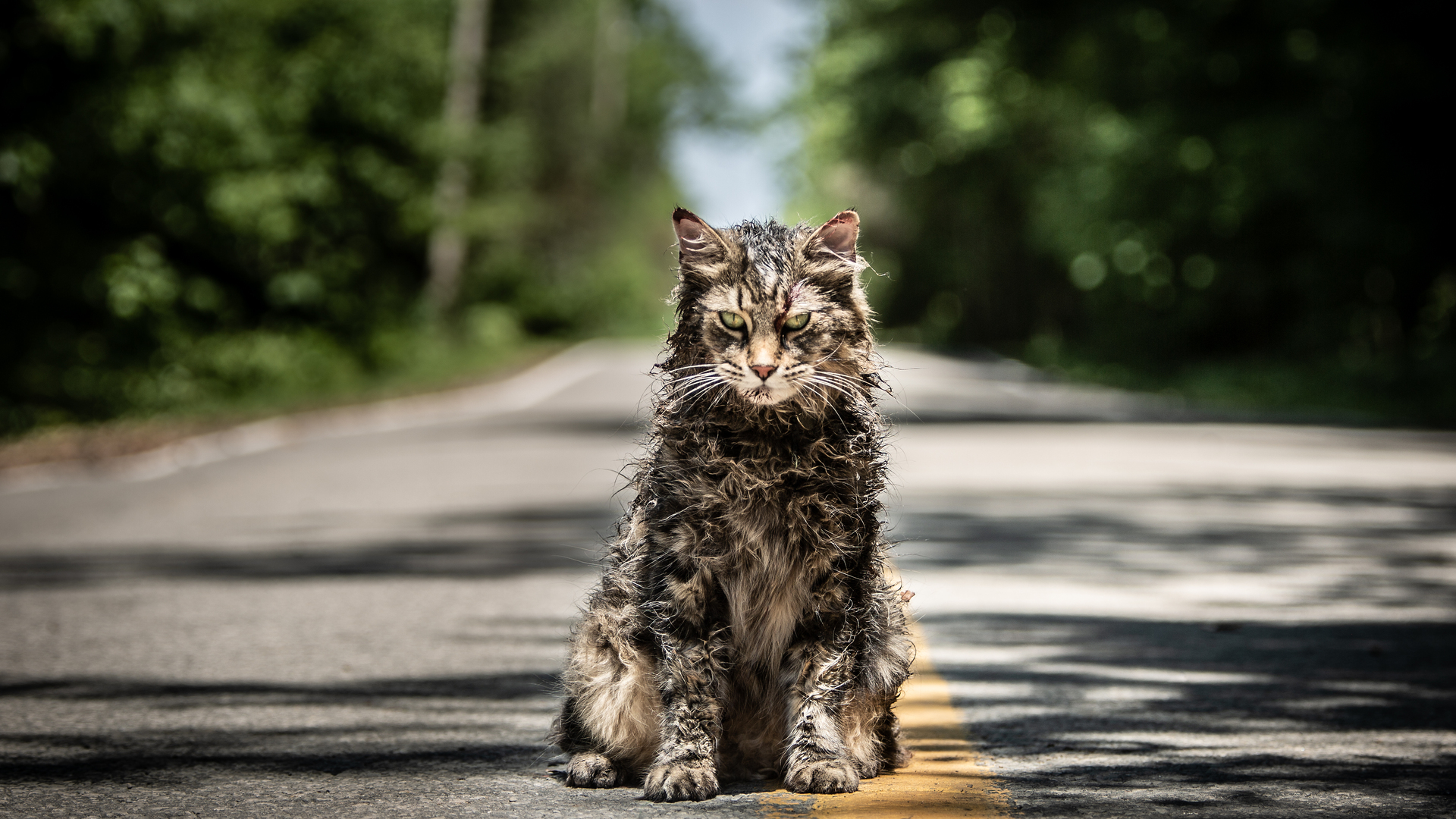 Pet Sematary Wallpapers