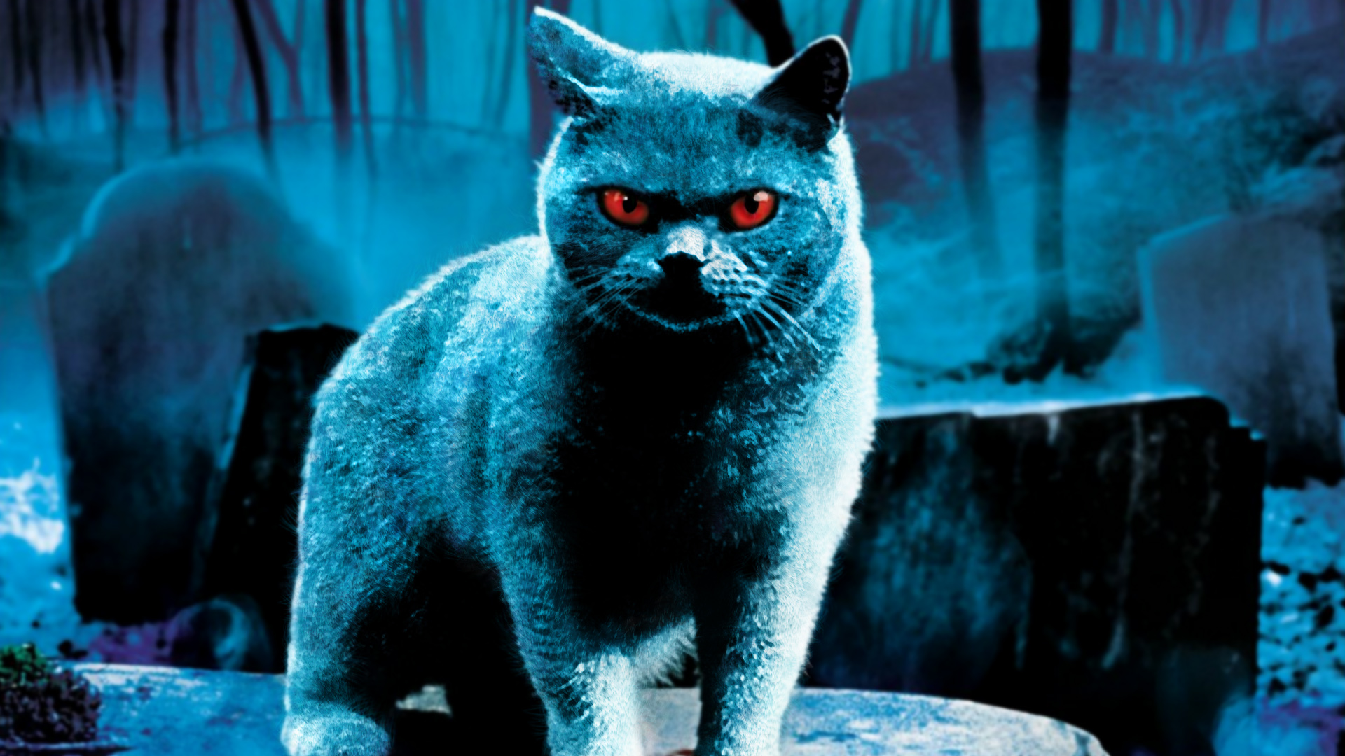 Pet Sematary Movie Wallpapers