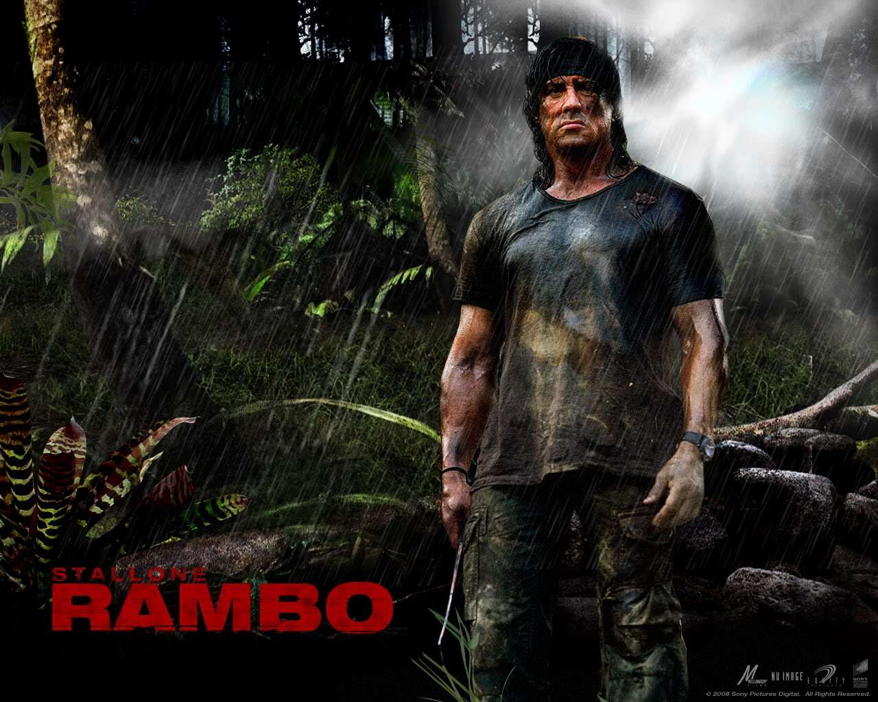 Rambo Wallpapers