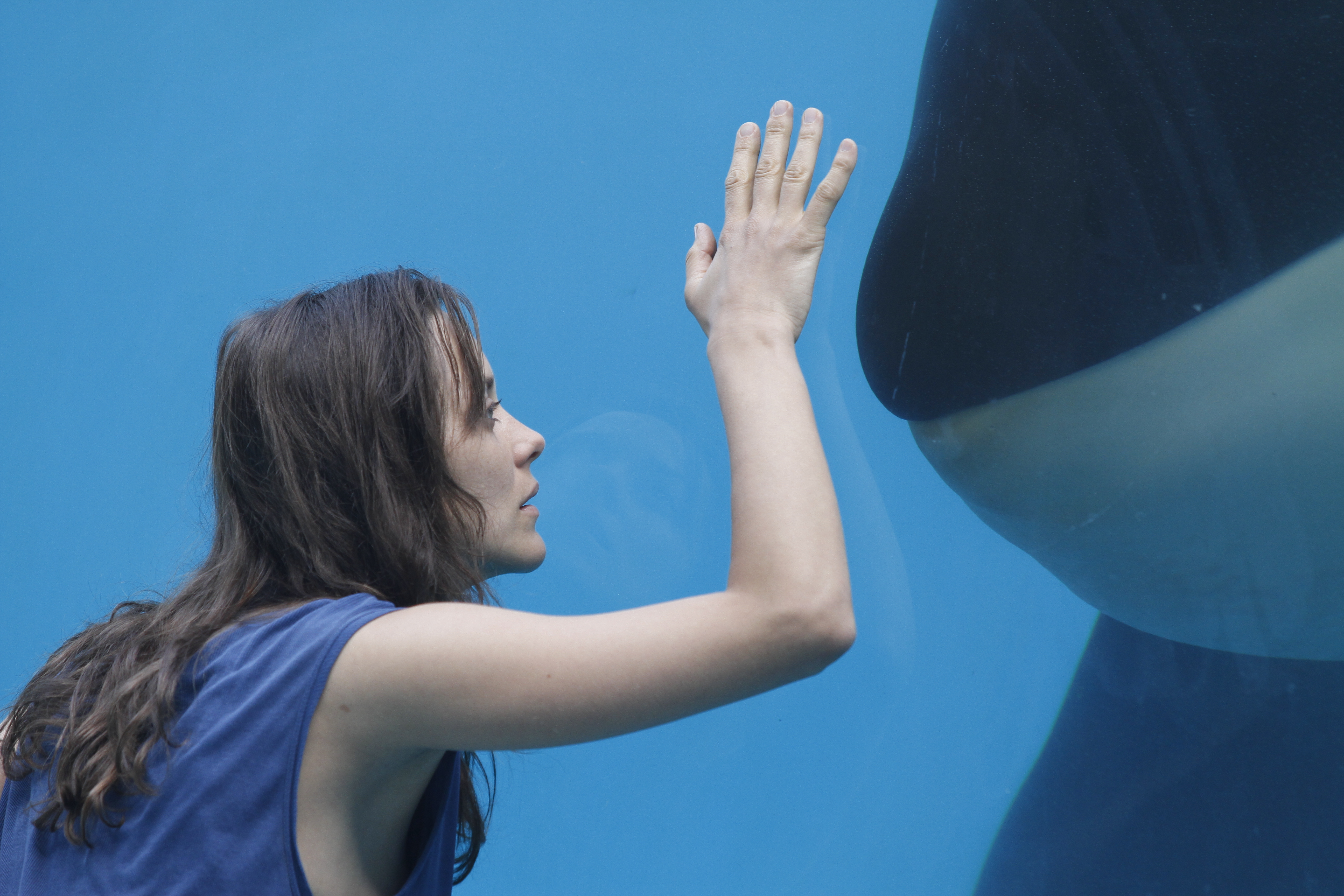 Rust And Bone Wallpapers