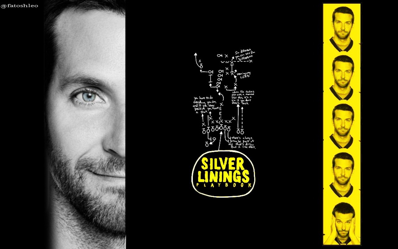 Silver Linings Playbook Wallpapers