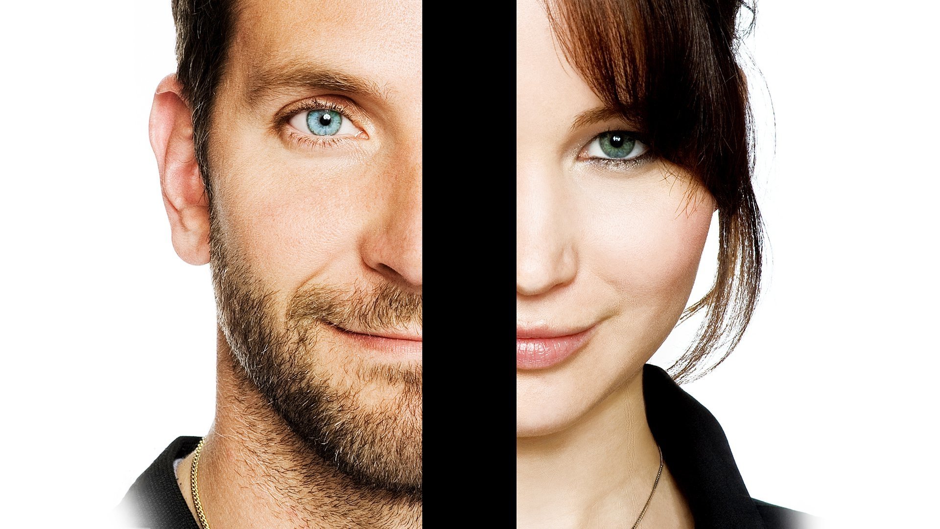 Silver Linings Playbook Wallpapers