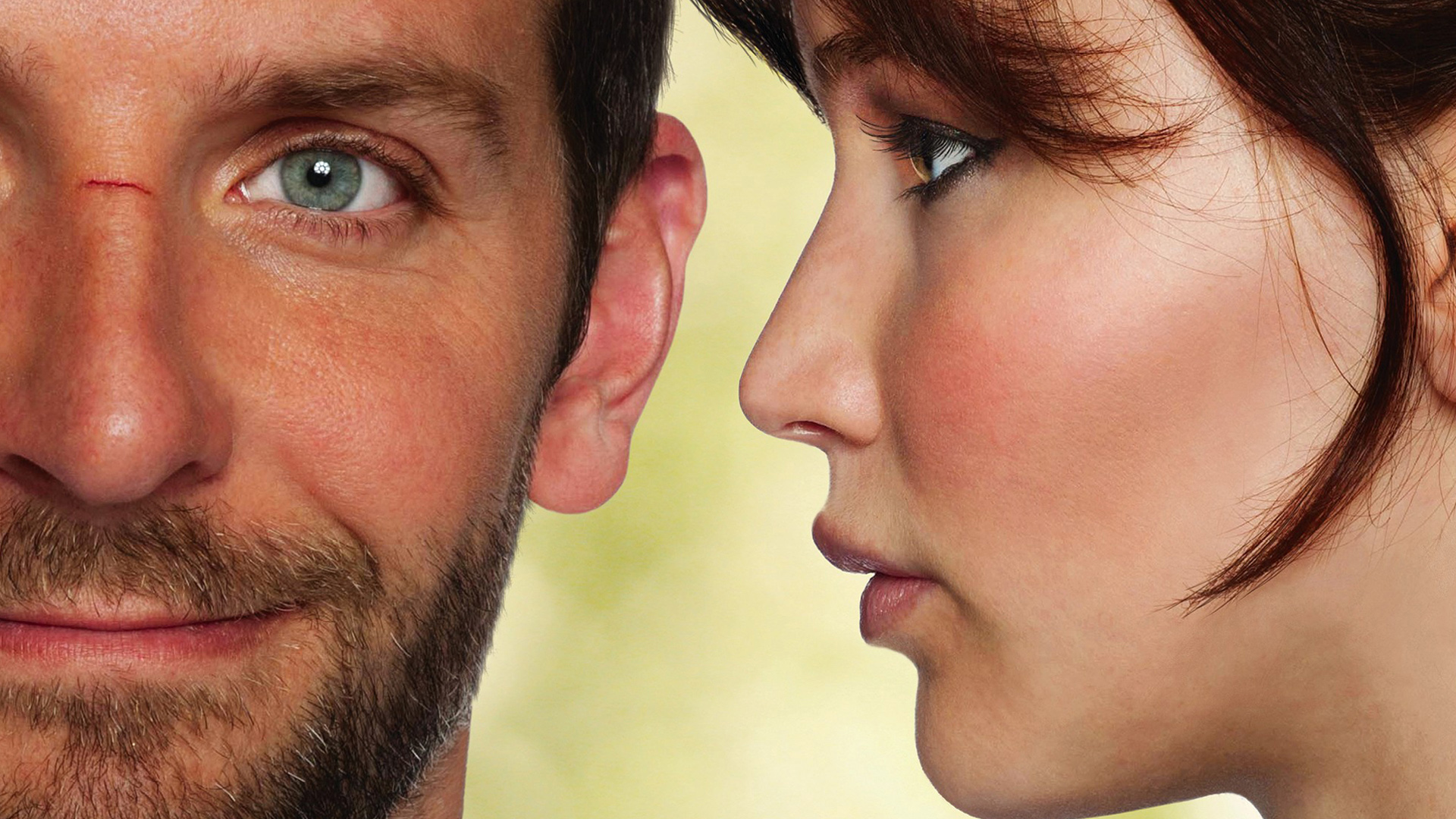 Silver Linings Playbook Wallpapers