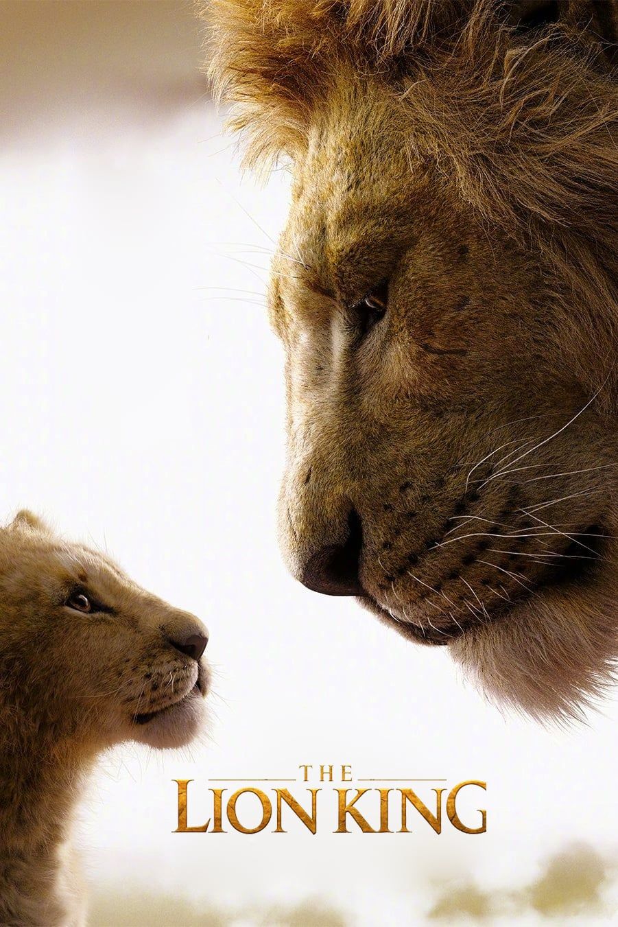 Simba In The Lion King 2019 Movie Wallpapers