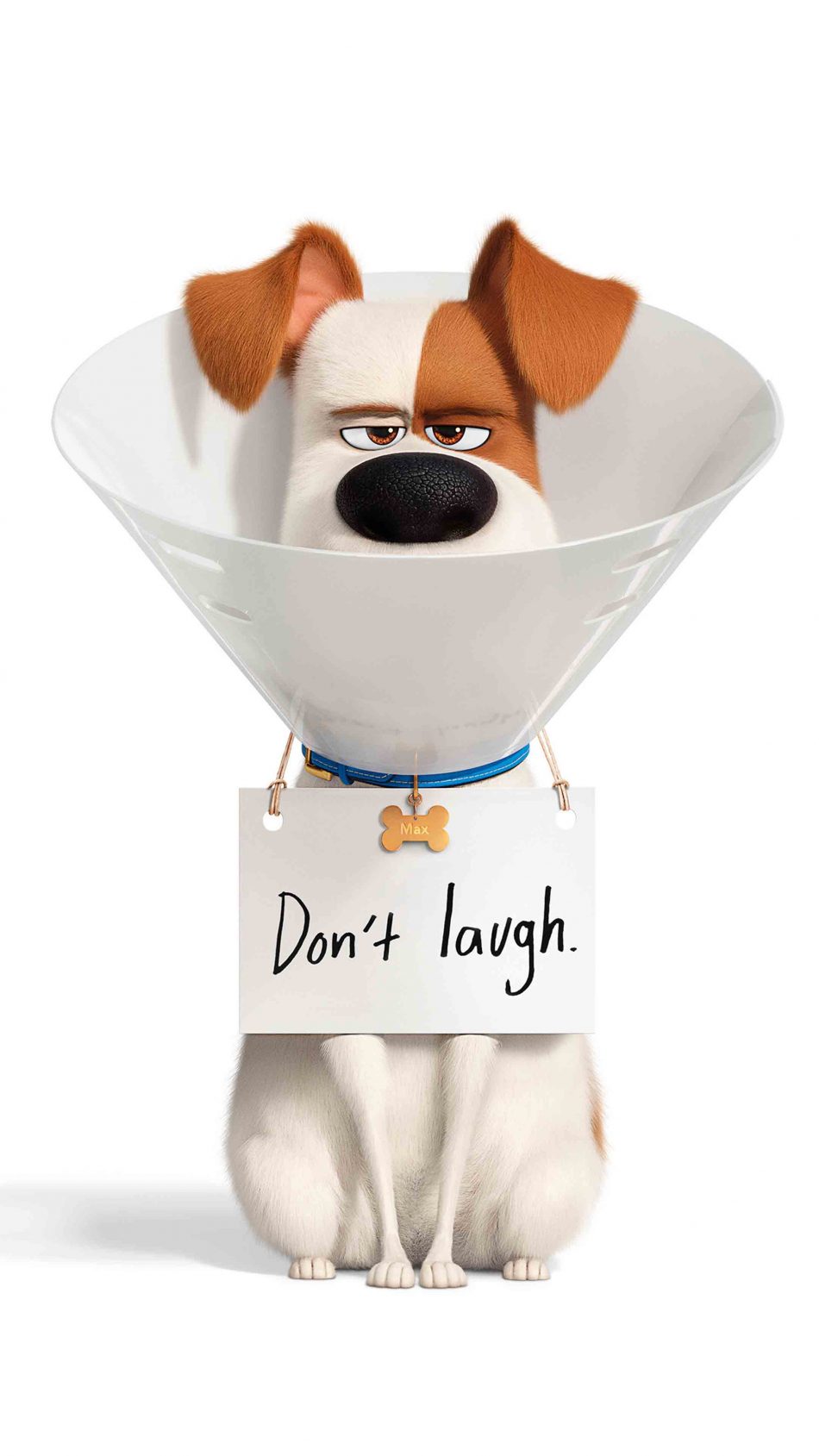 Snowball The Secret Life Of Pets 2 Wallpapers