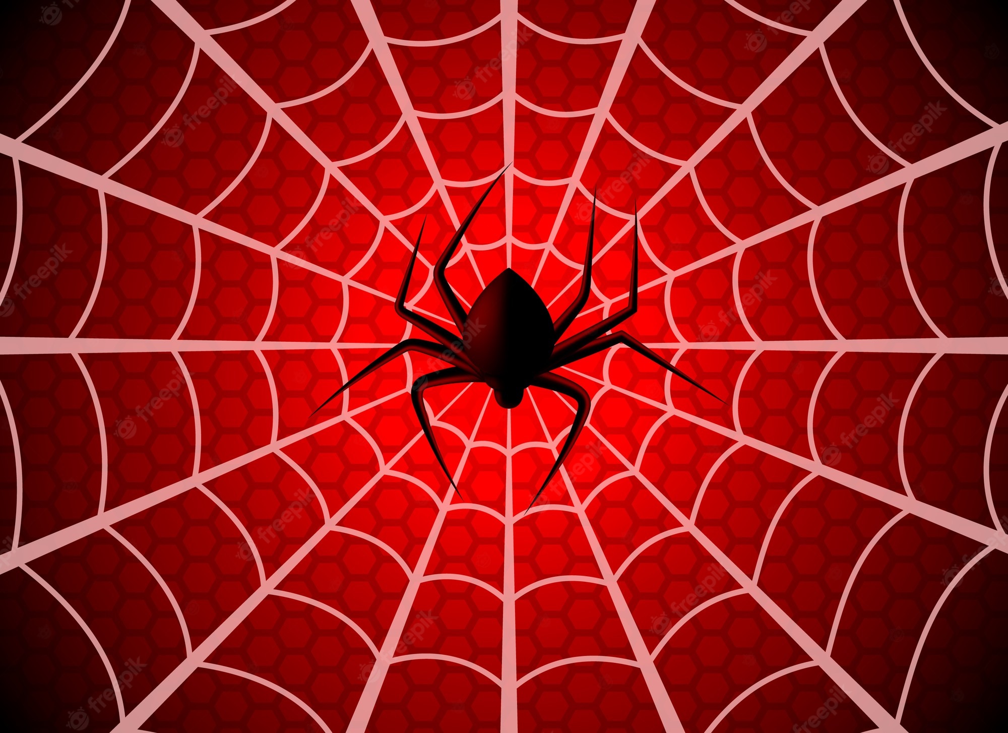 Spiderman Having Fun Wallpapers