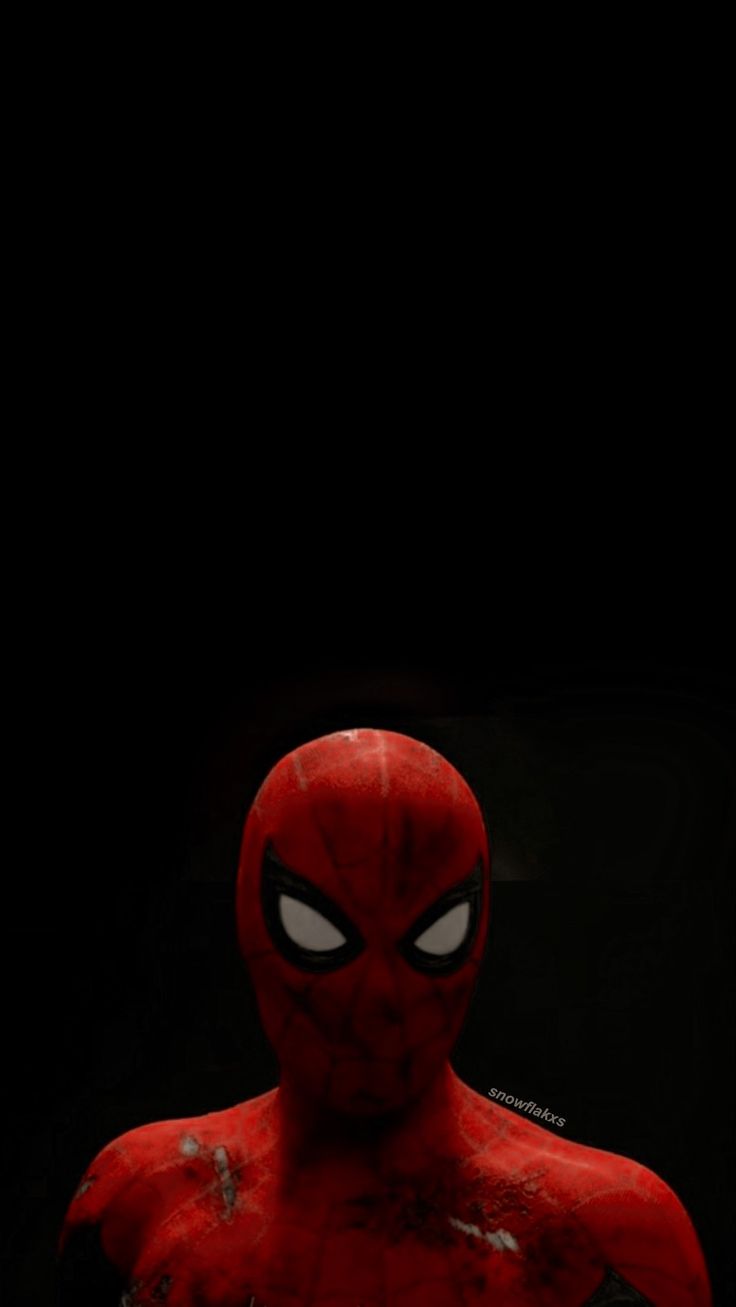 Spiderman Homecoming Wallpapers