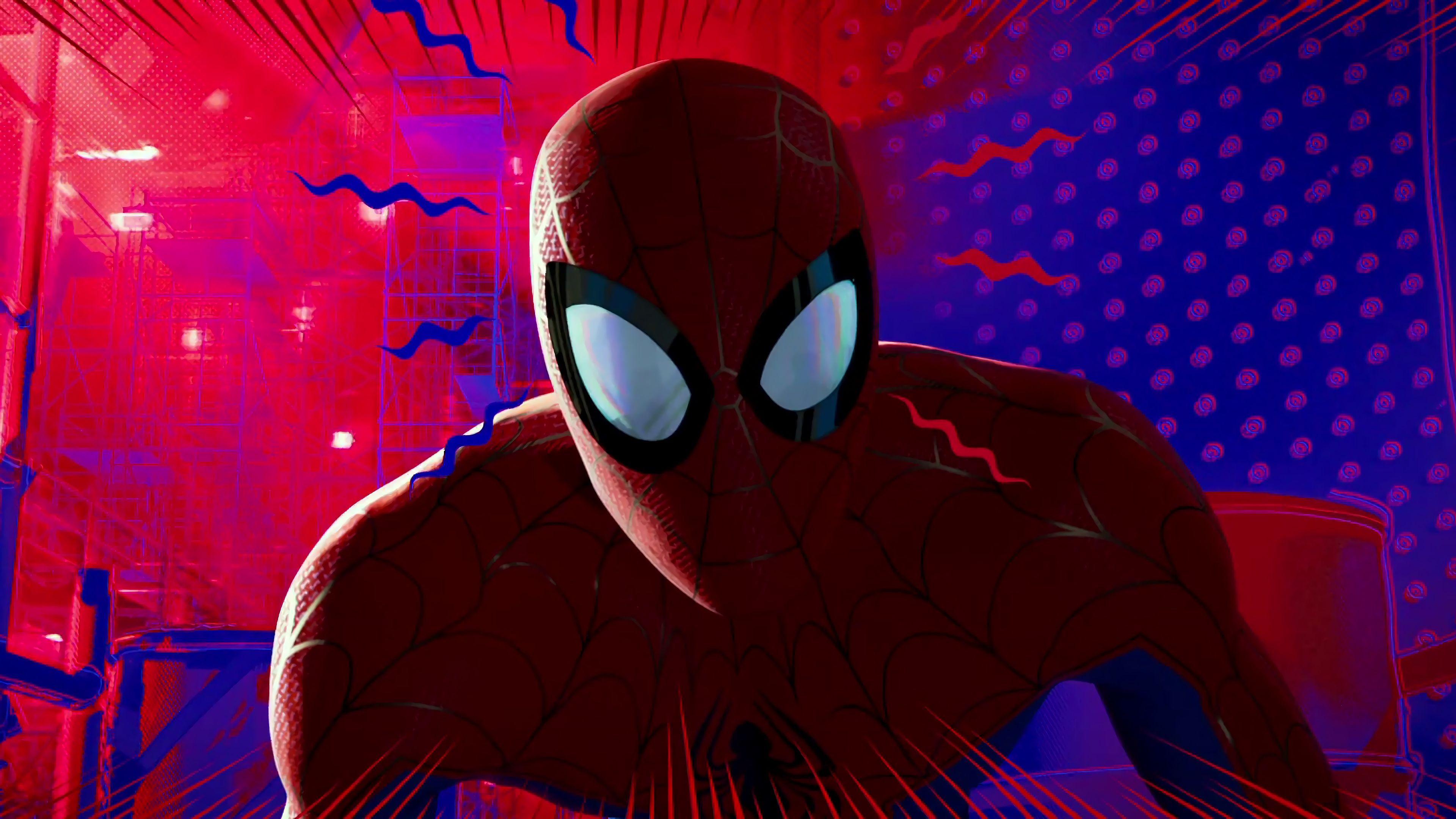 Spiderman Into The Spider Verse 2018 Wallpapers