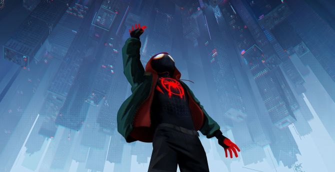 Spider-Man Into The Spider-Verse Movie Wallpapers