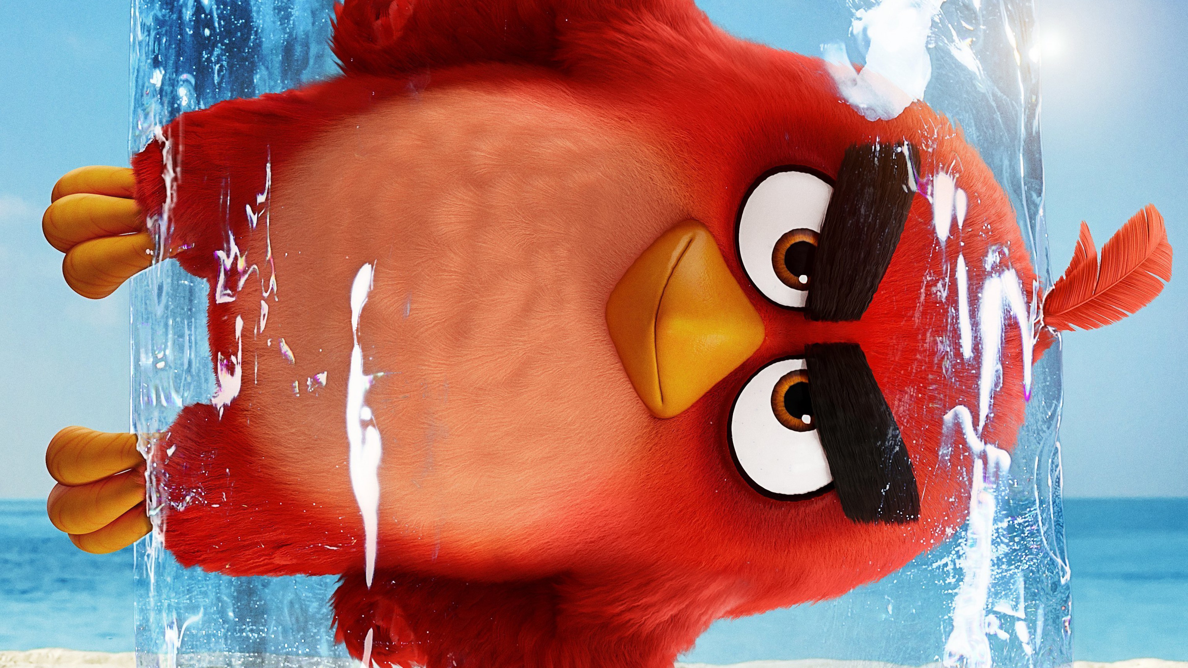 The Angry Birds 2 Wallpapers