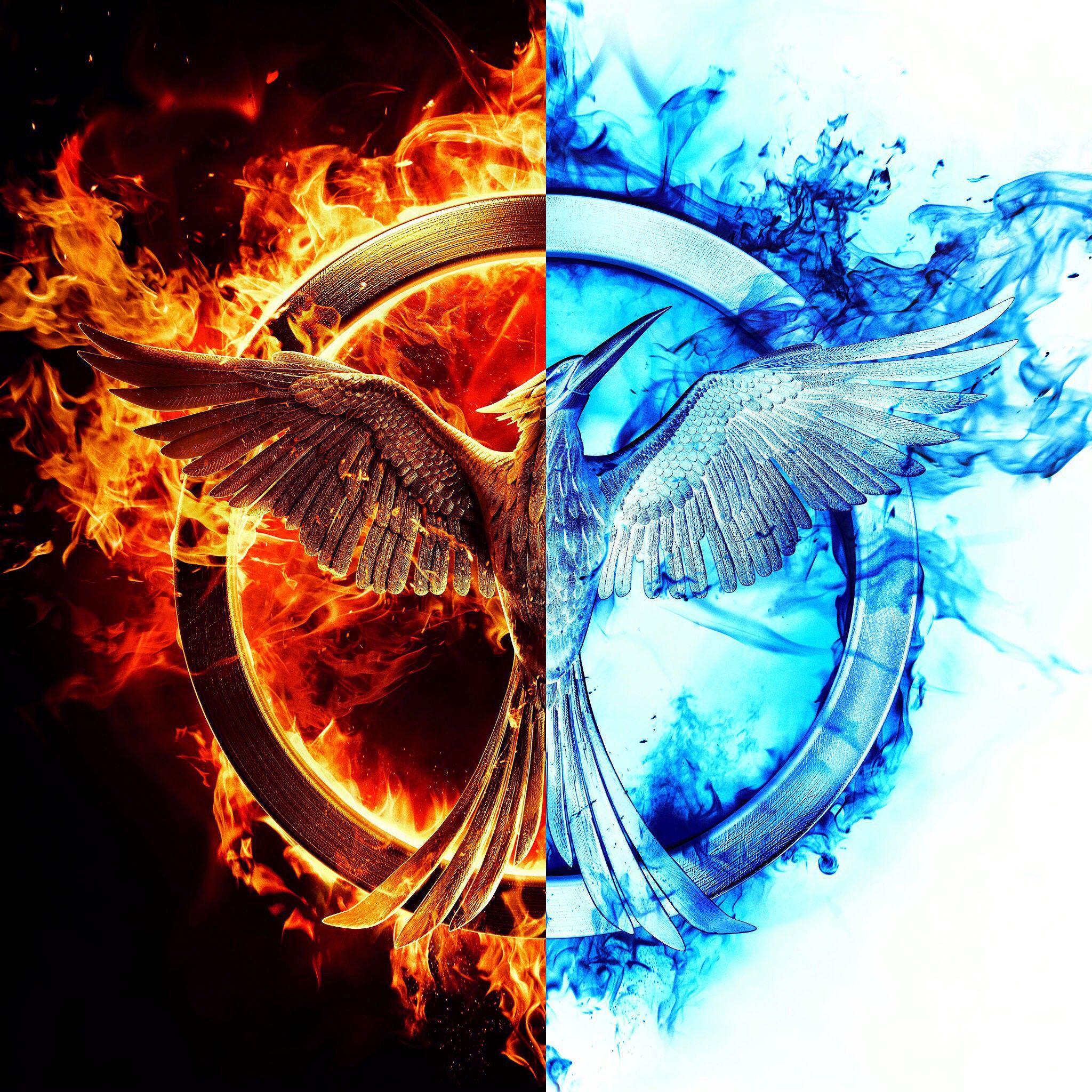 The Hunger Games: Mockingjay - Part 1 Wallpapers