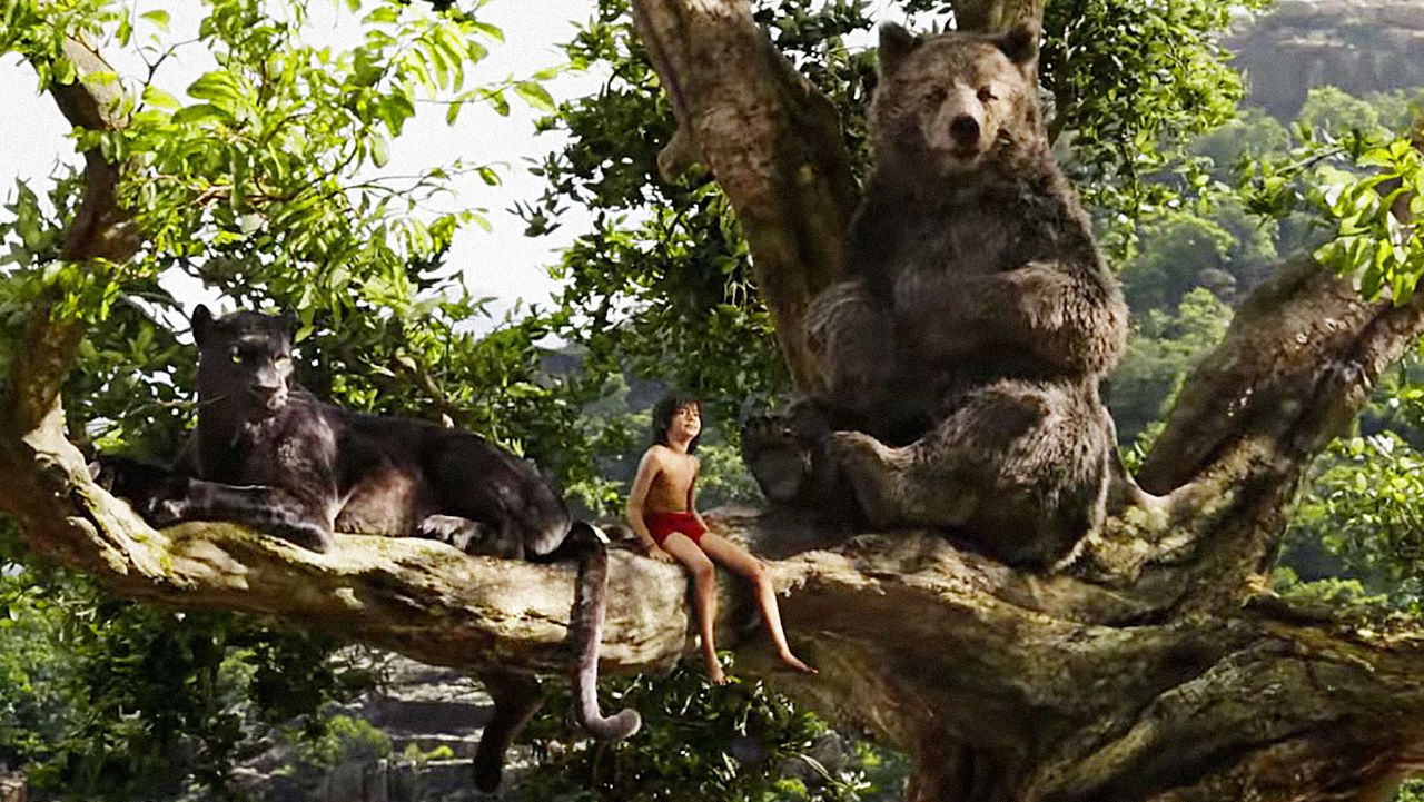 The Jungle Book (2016) Wallpapers