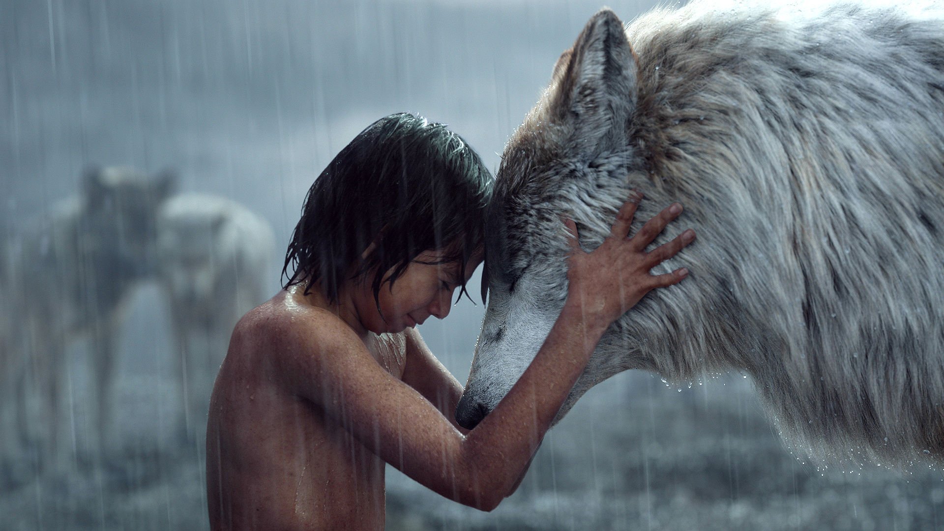 The Jungle Book (2016) Wallpapers