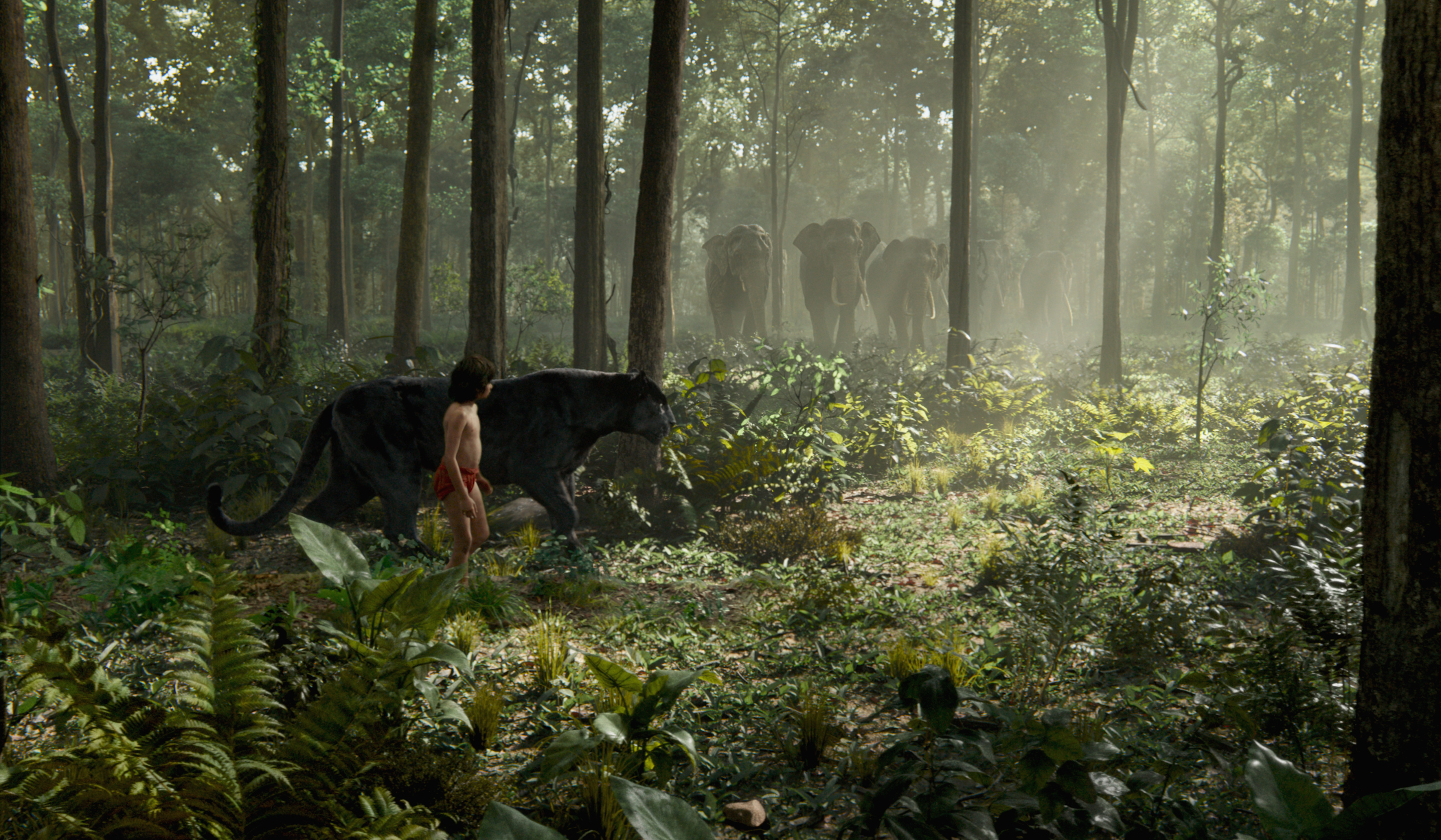 The Jungle Book (2016) Wallpapers