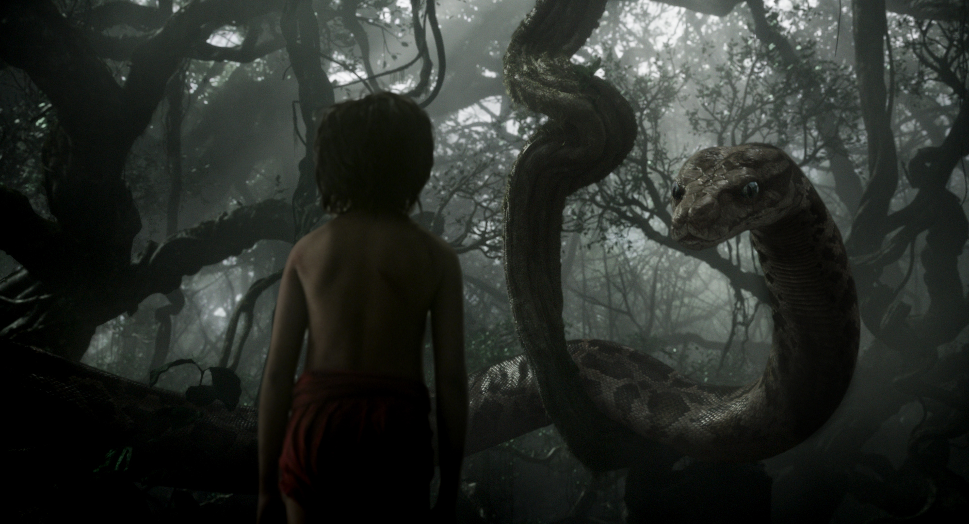 The Jungle Book (2016) Wallpapers