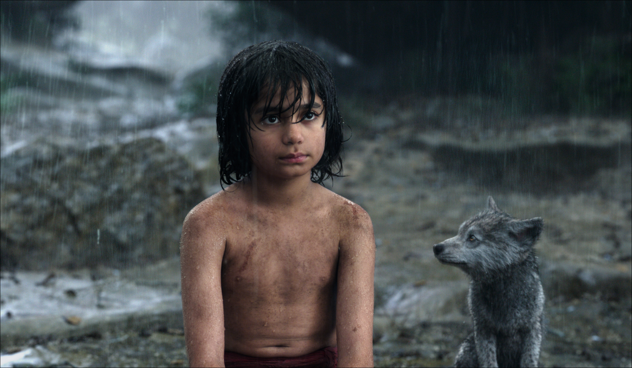 The Jungle Book (2016) Wallpapers