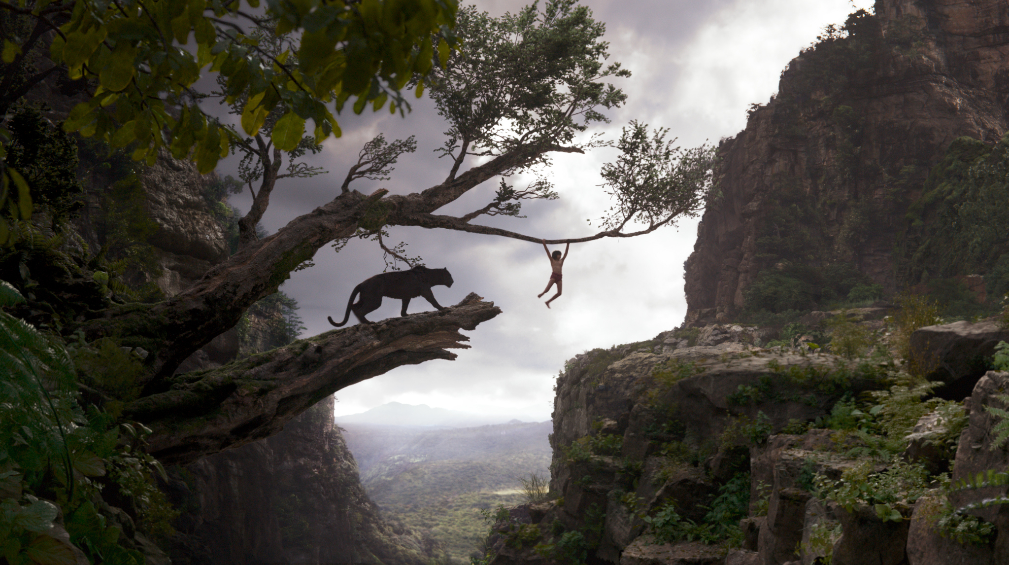 The Jungle Book Movie Wallpapers