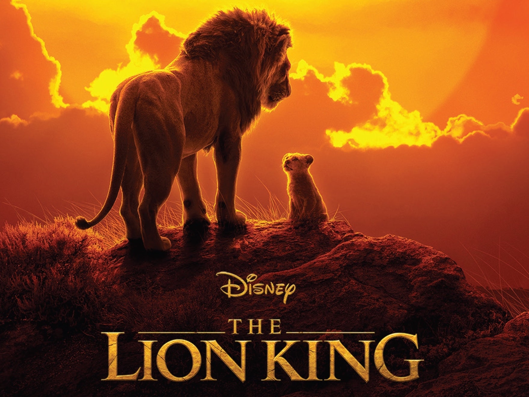 The Lion King (2019) Wallpapers