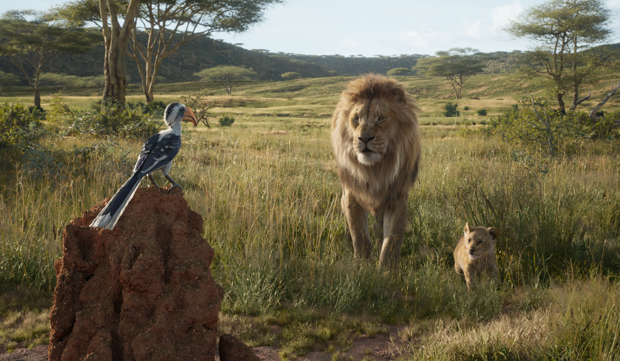 The Lion King (2019) Wallpapers