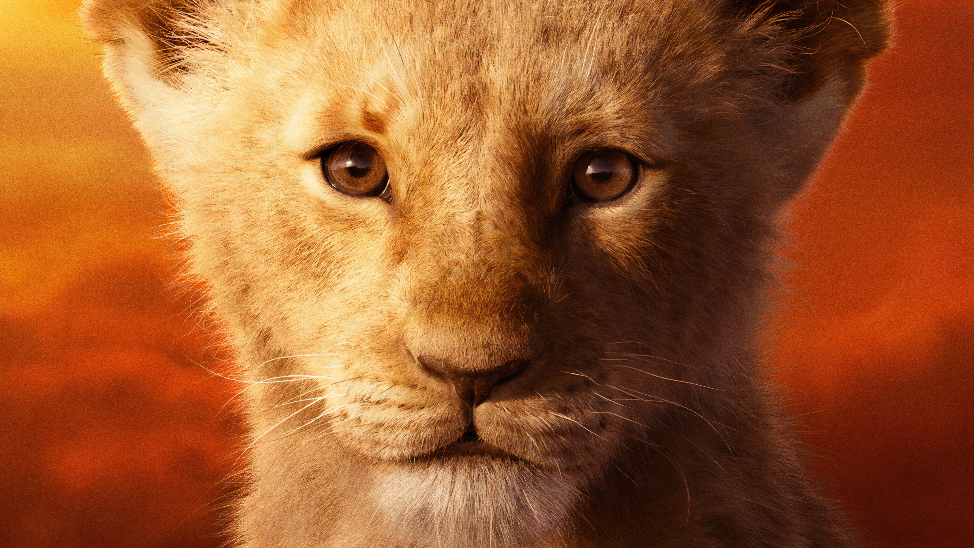 The Lion King 2019 Movie Wallpapers