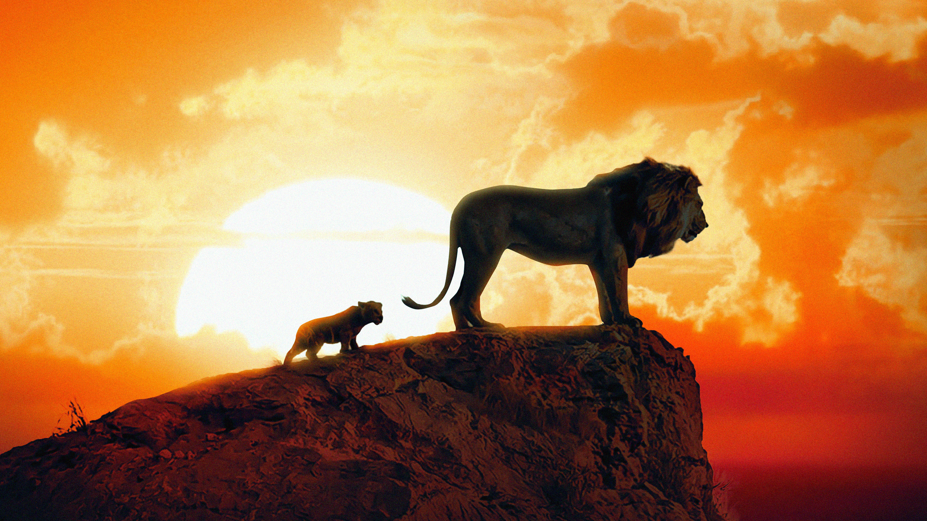 The Lion King 2019 Movie Poster Wallpapers