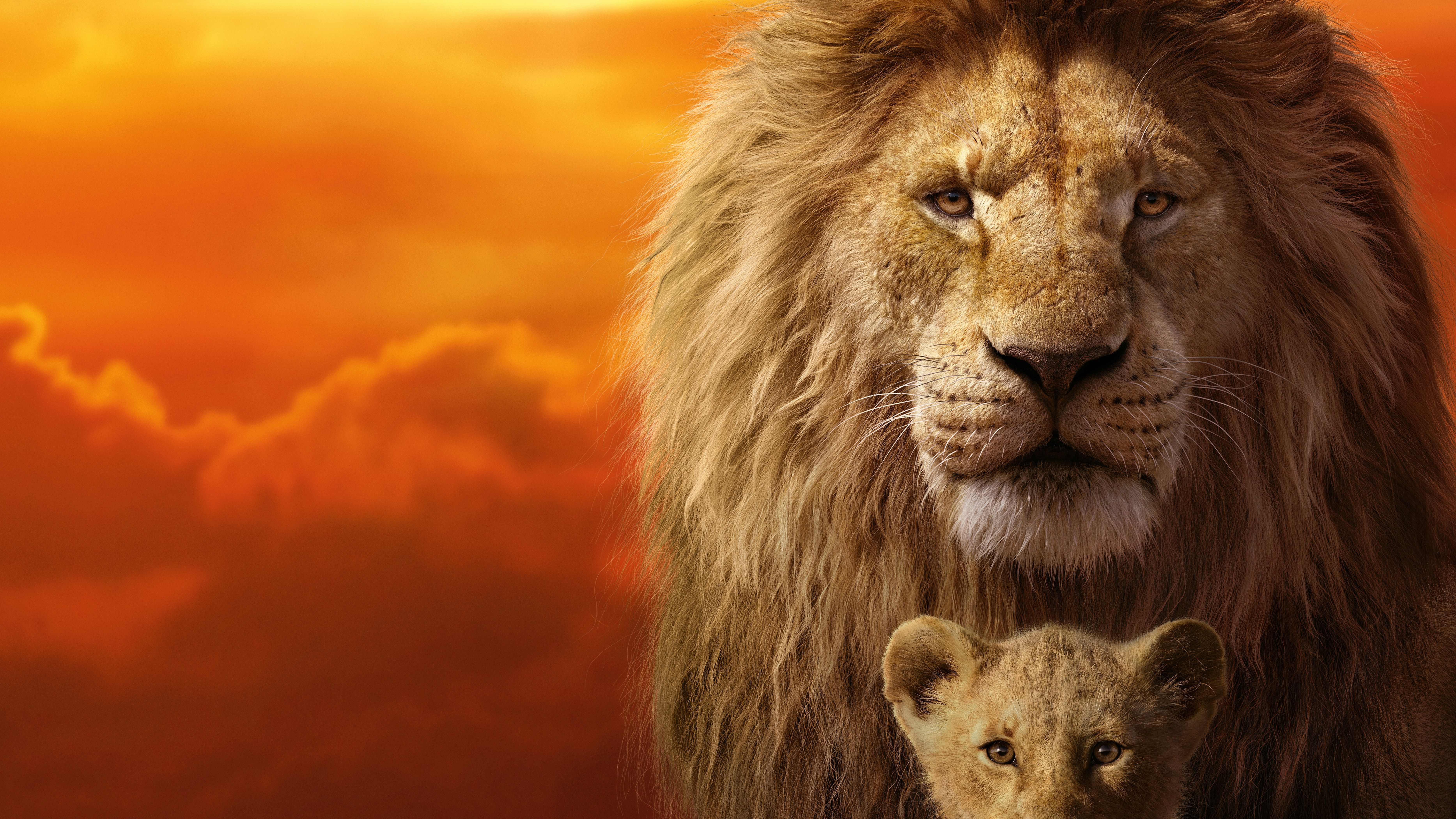 The Lion King 2019 Movie Poster Wallpapers