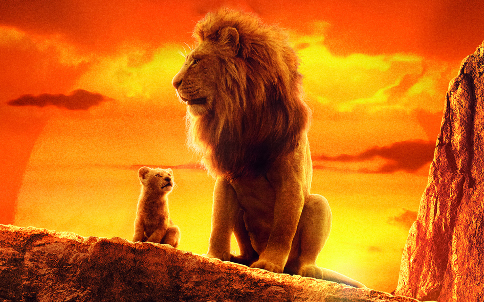 The Lion King 2019 Movie Poster Wallpapers