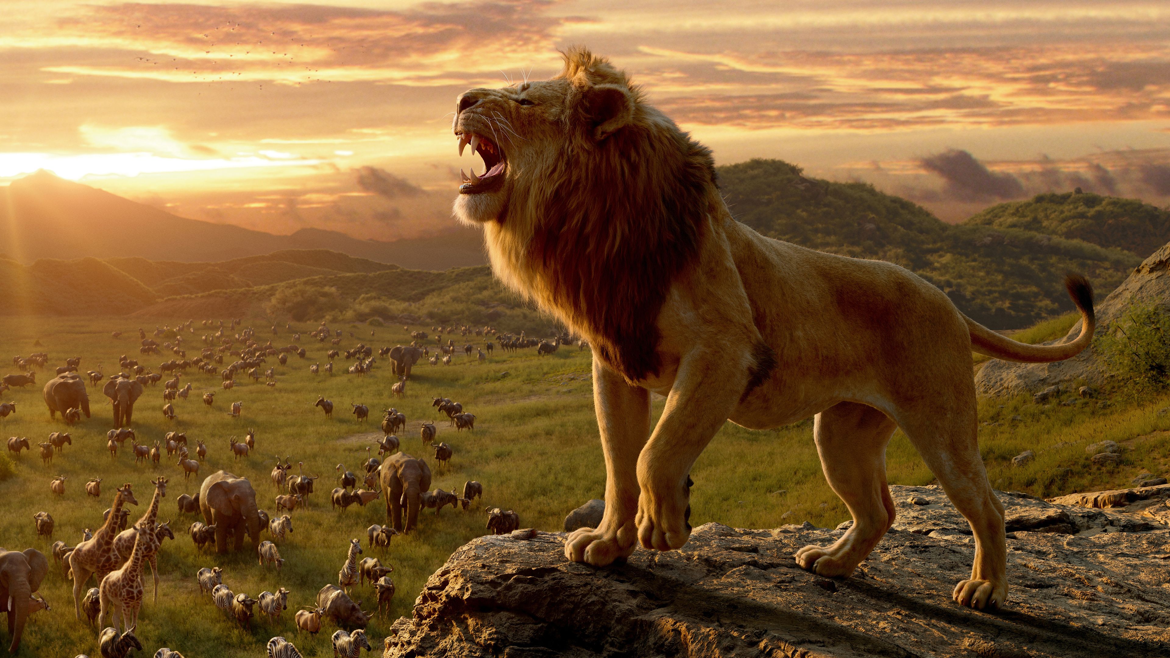 The Lion King 2019 Movie Poster Wallpapers