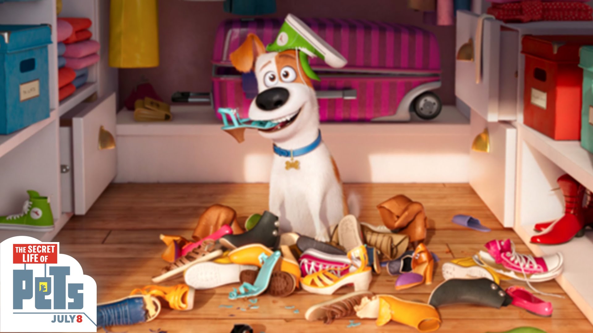 The Secret Life Of Pets Wallpapers